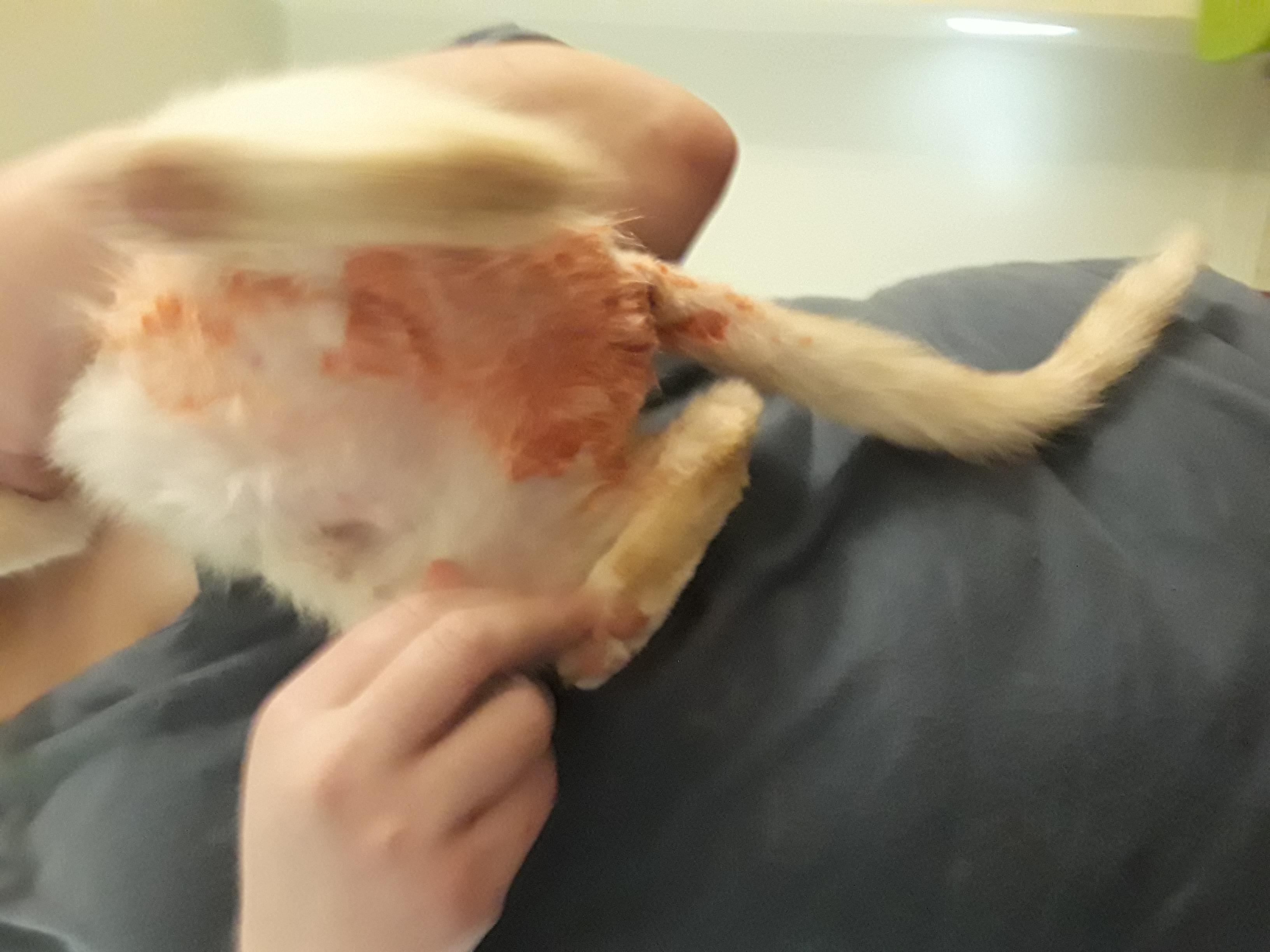 Question details sensitive content