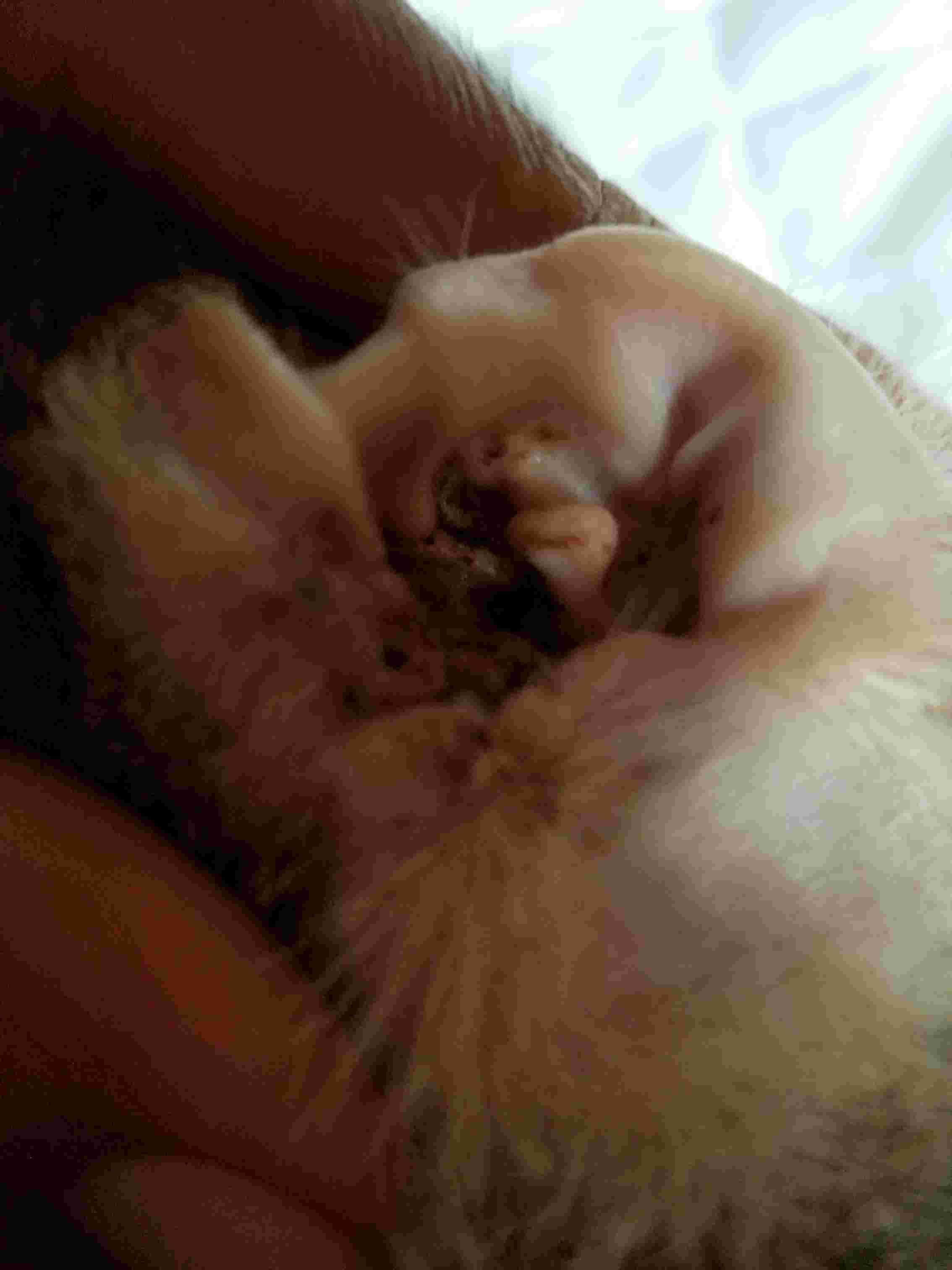 Question details sensitive content