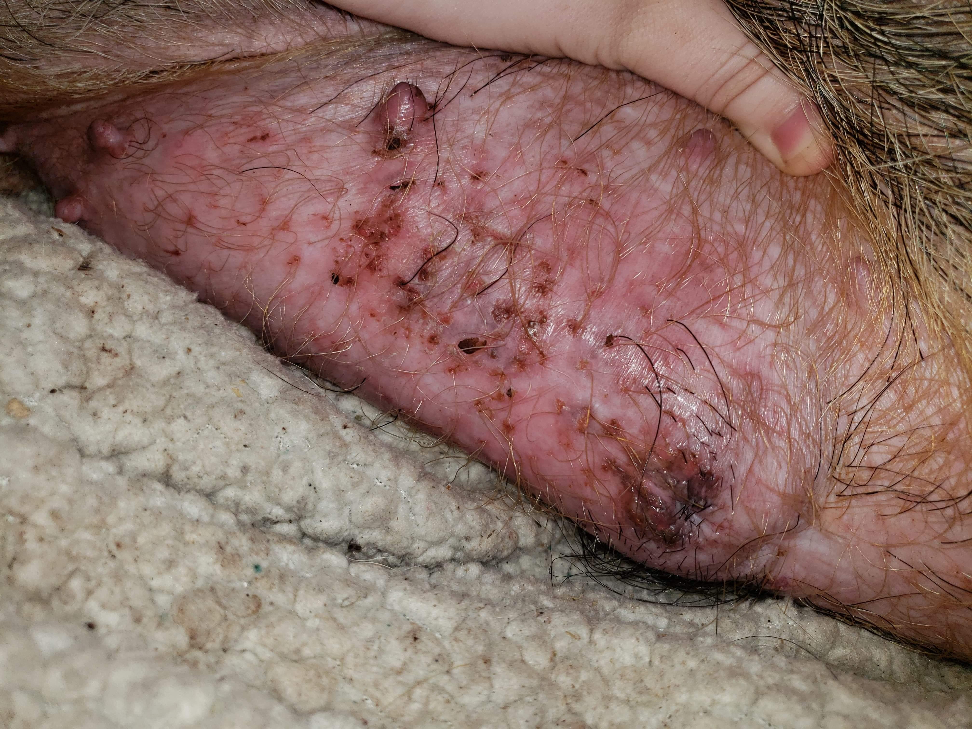 Question details sensitive content