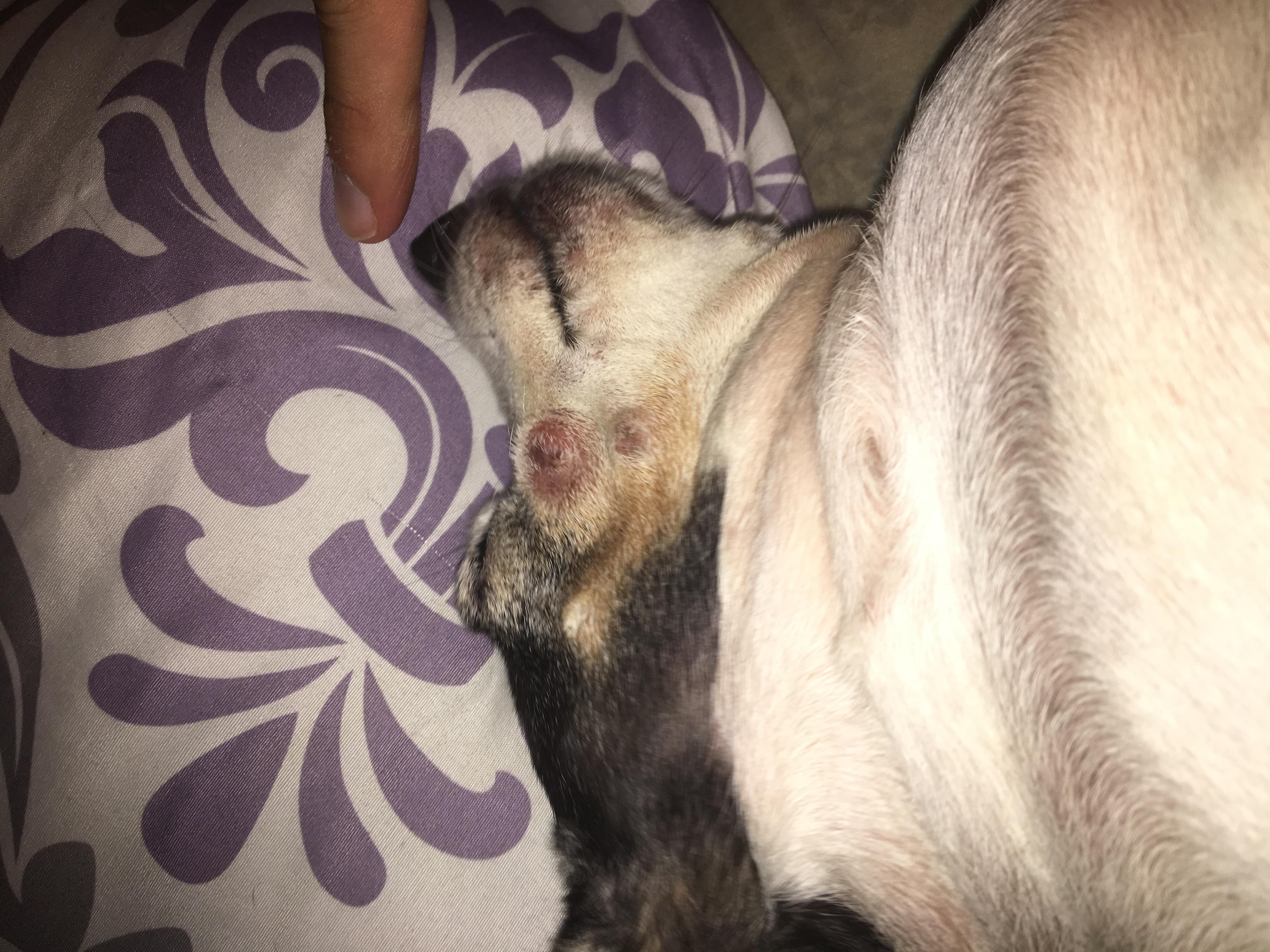 Question details sensitive content