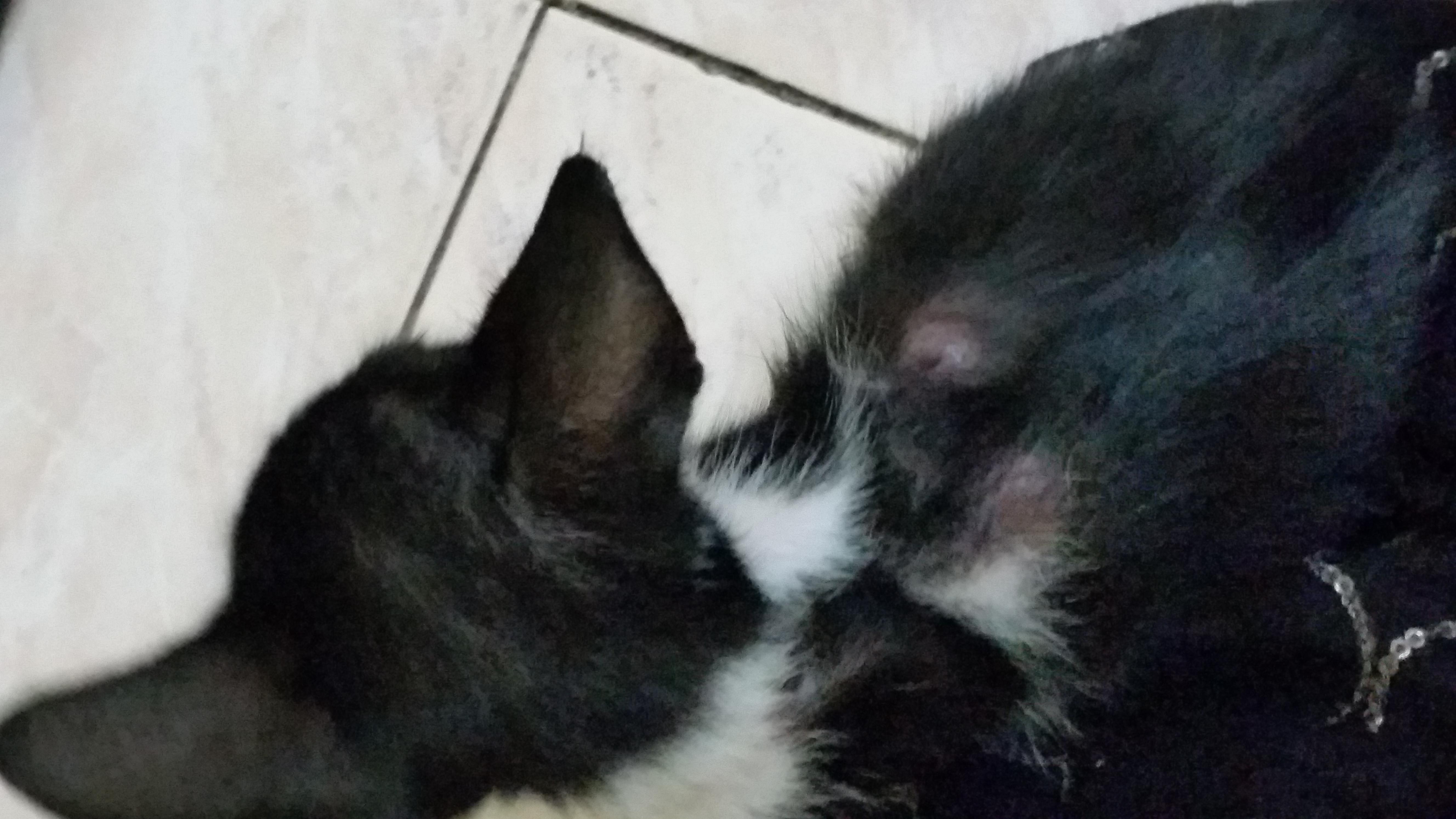 Question details sensitive content