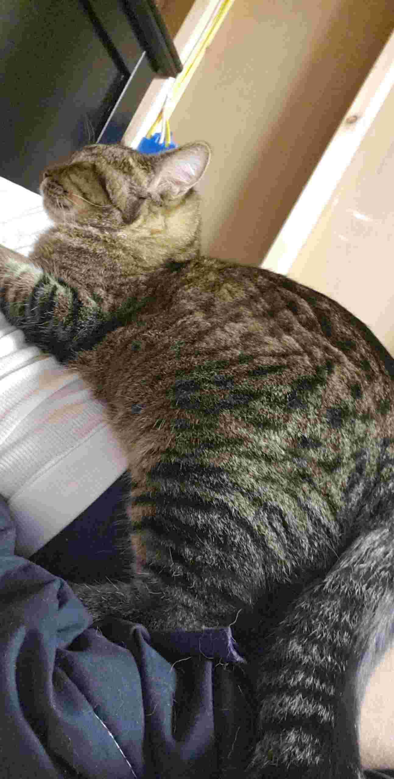 Question details sensitive content