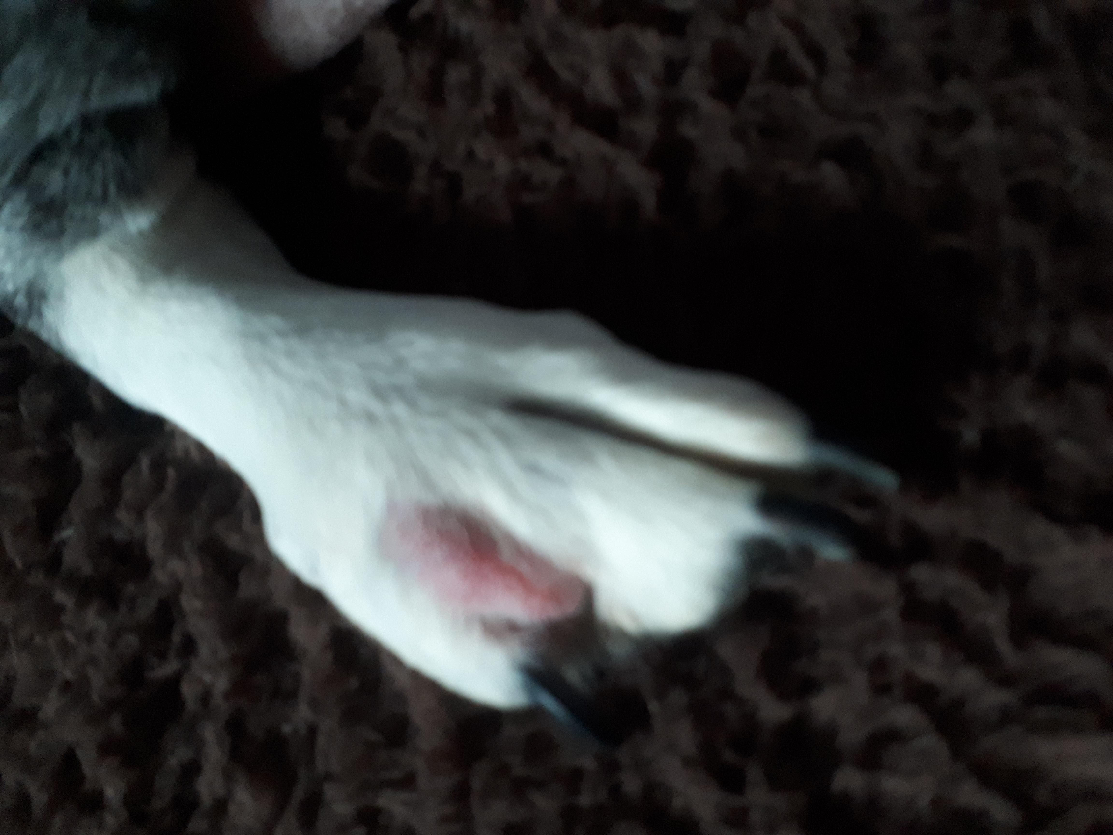 Question details sensitive content