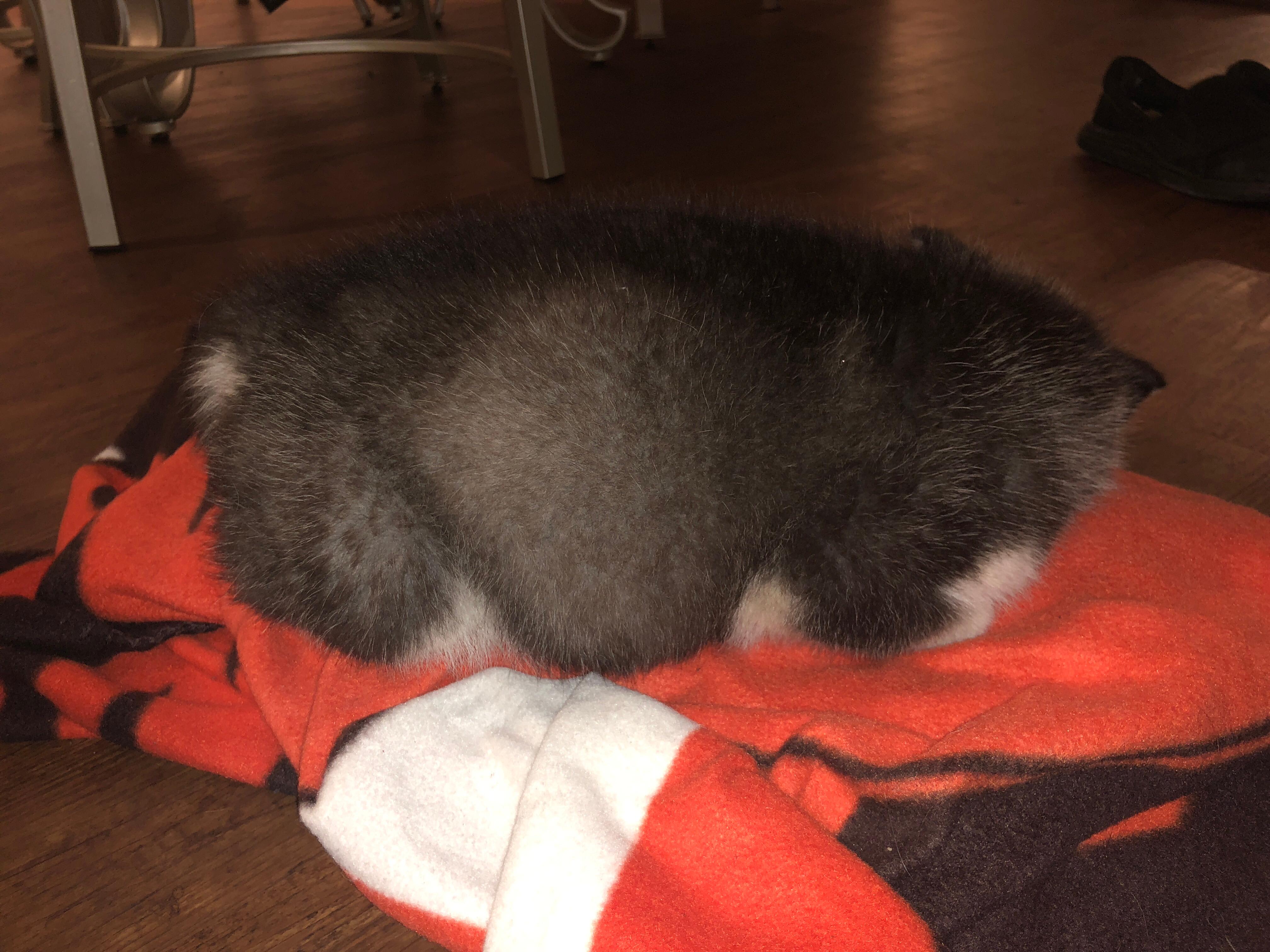 Question details sensitive content