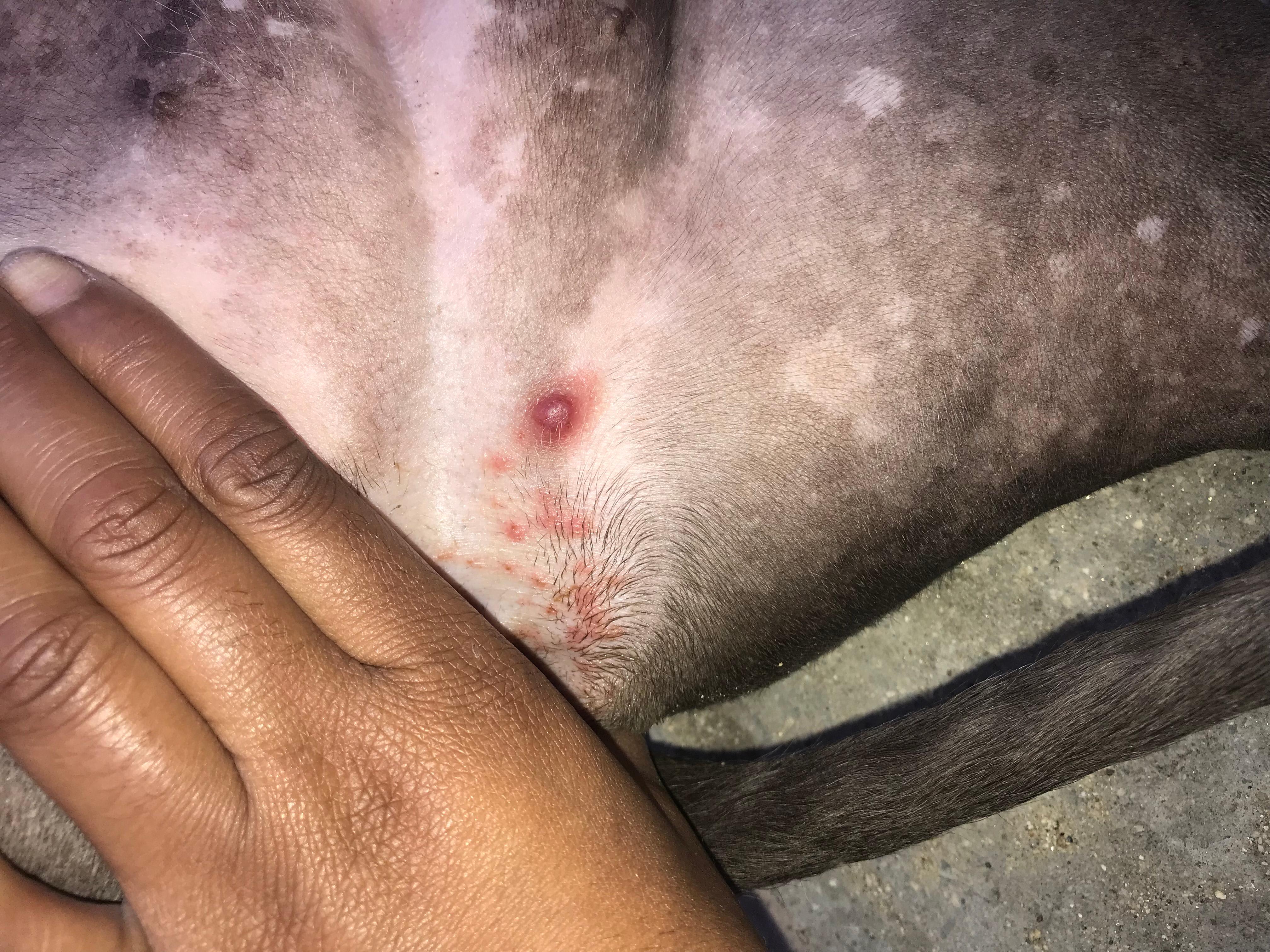 Question details sensitive content