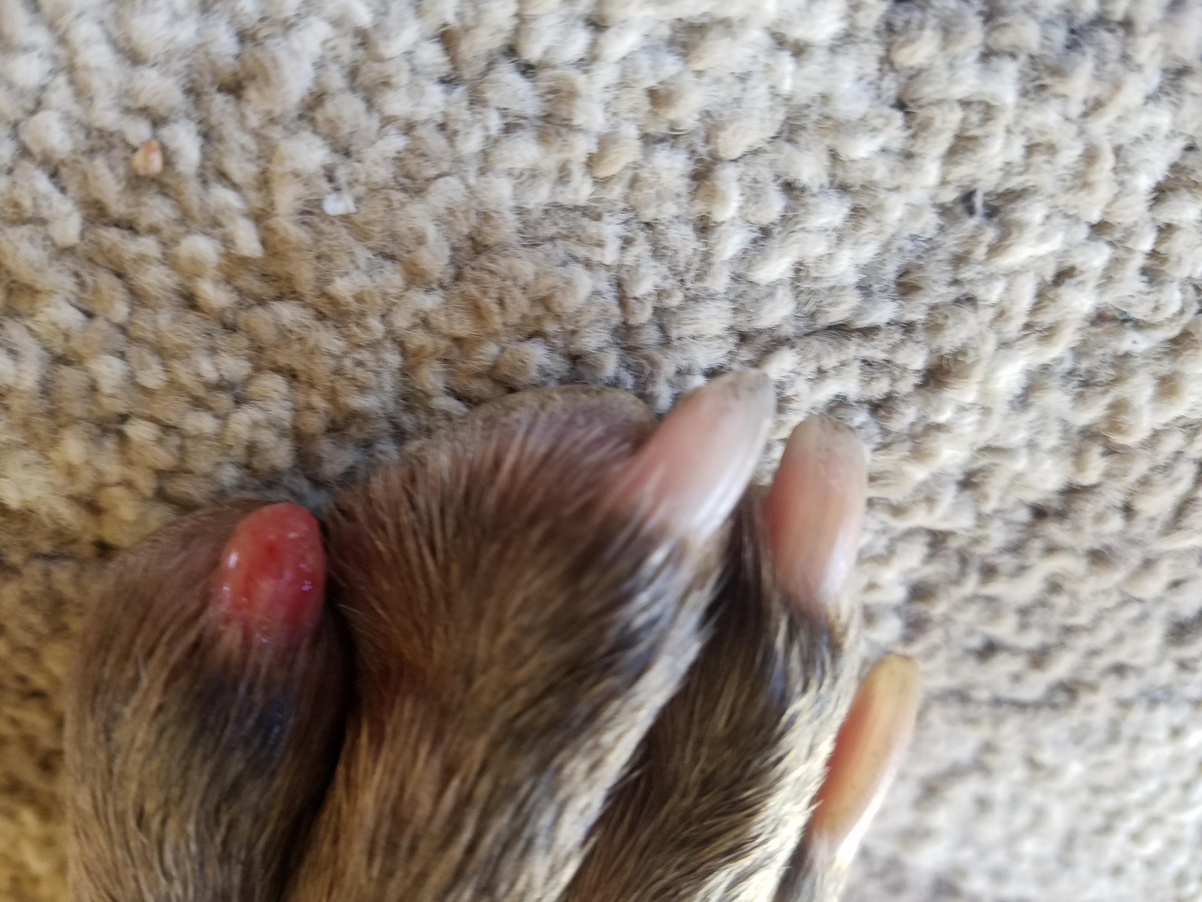 Question details sensitive content