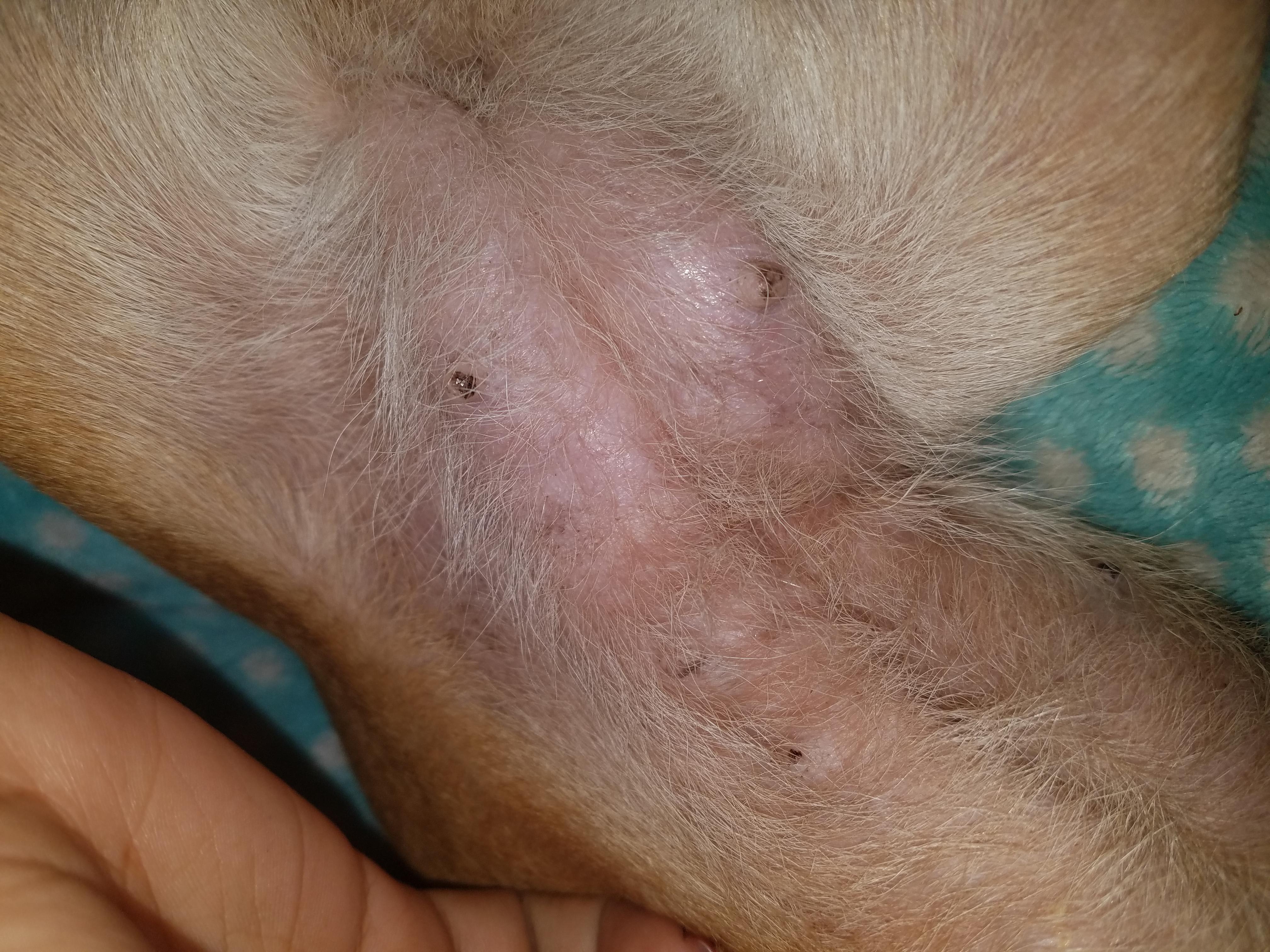 Question details sensitive content