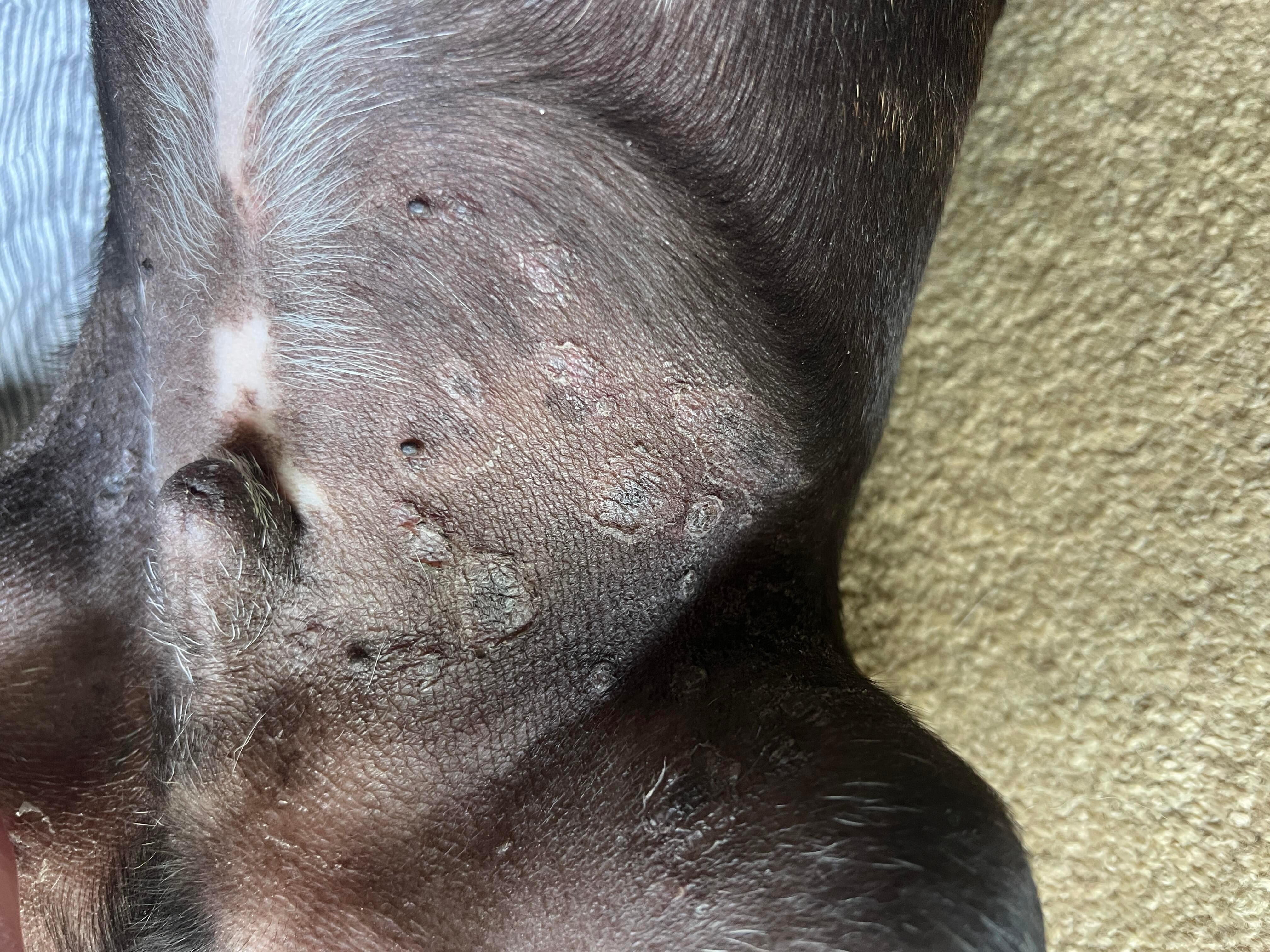 Question details sensitive content