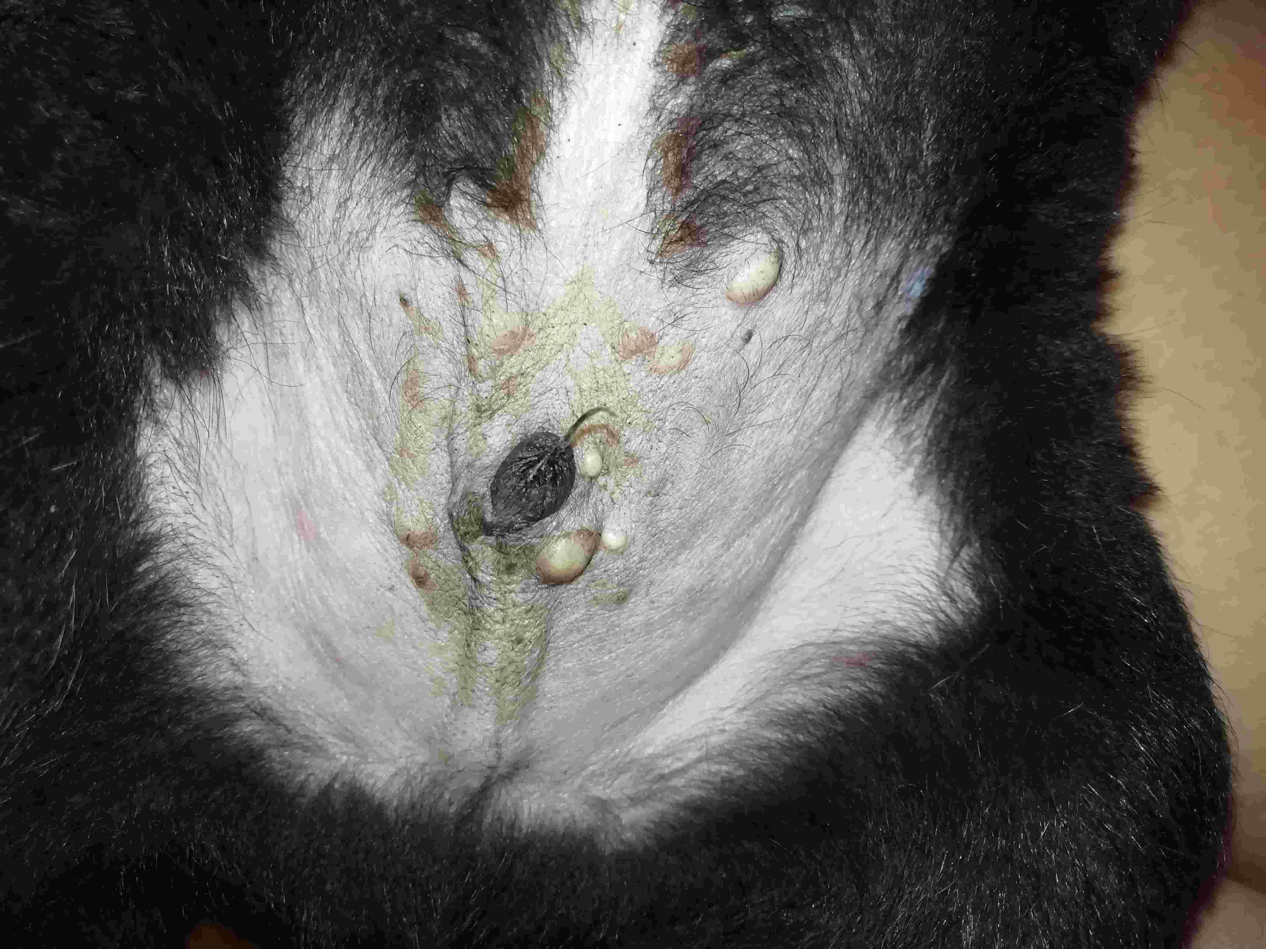 Question details sensitive content