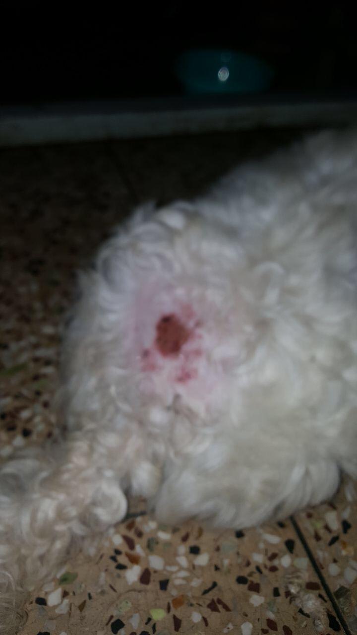 Question details sensitive content