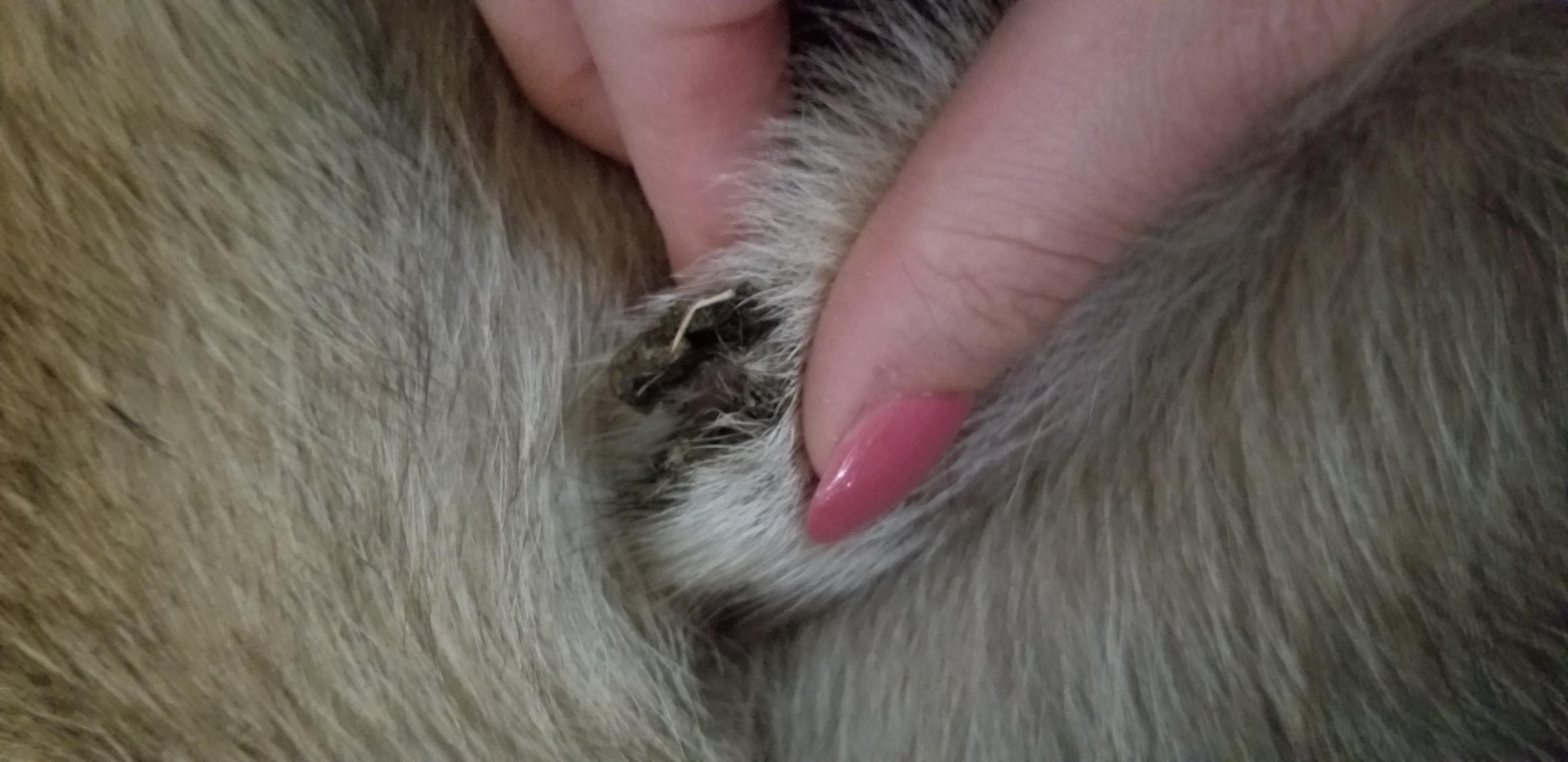 Question details sensitive content