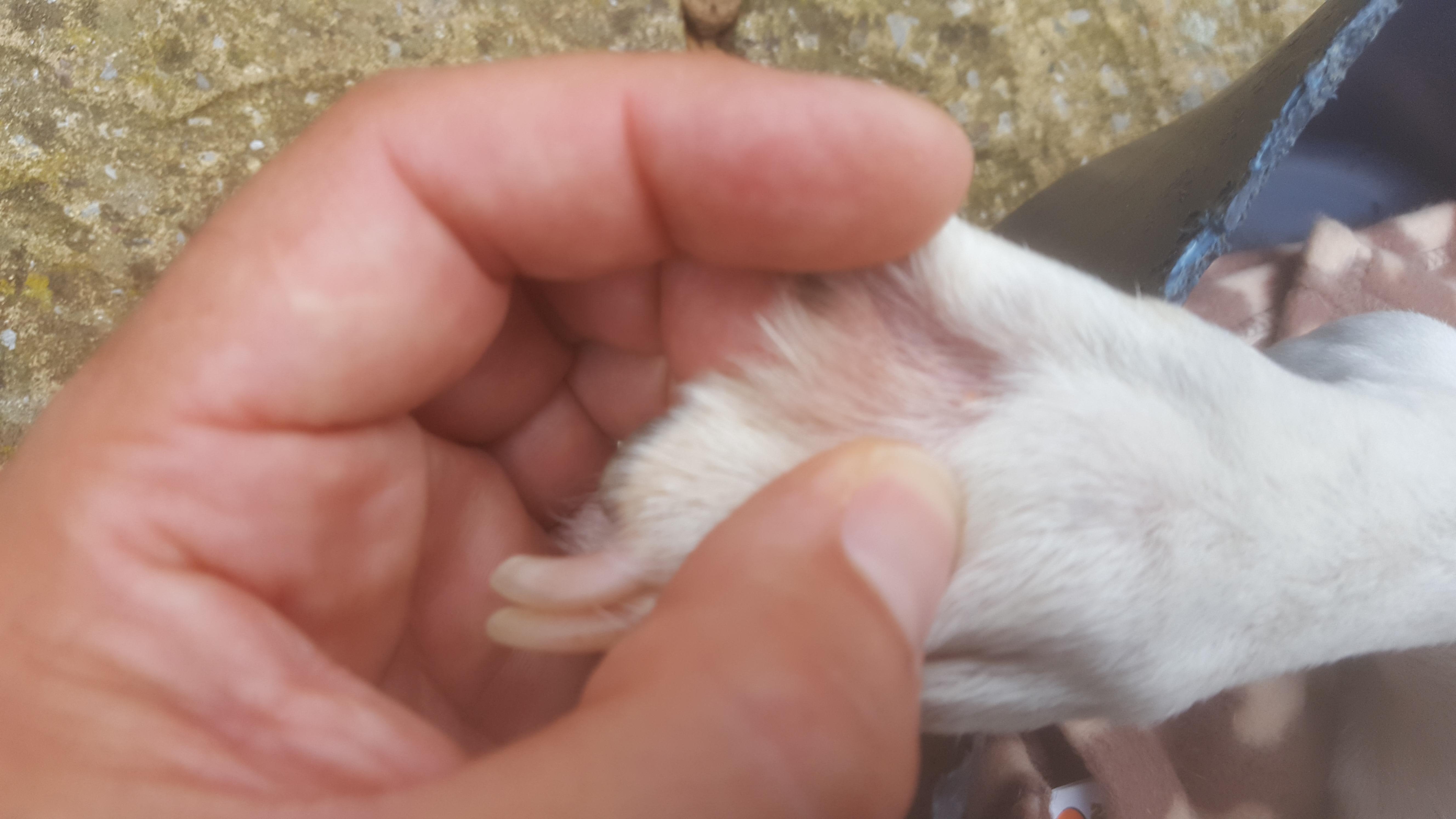 Question details sensitive content