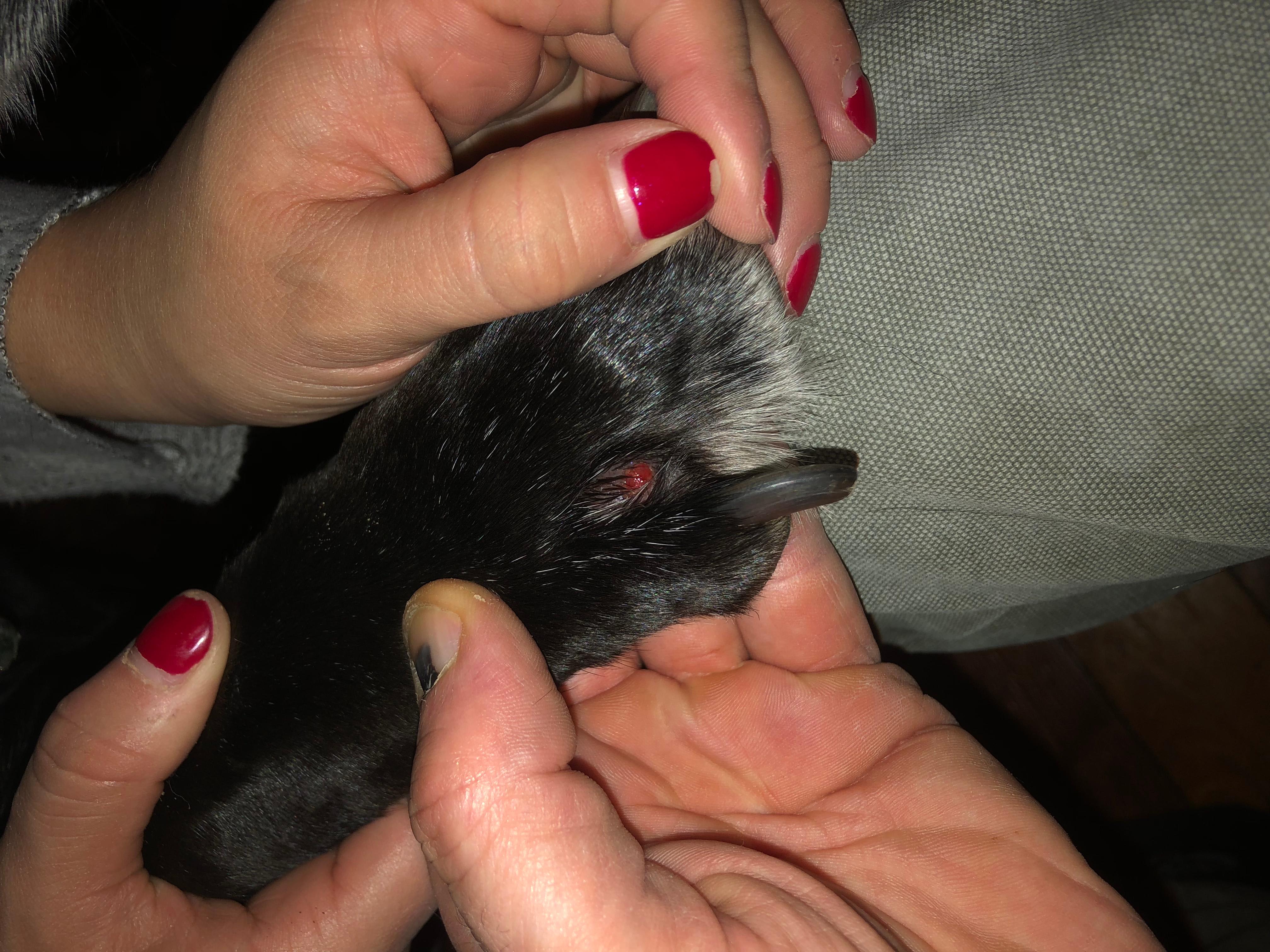 Question details sensitive content