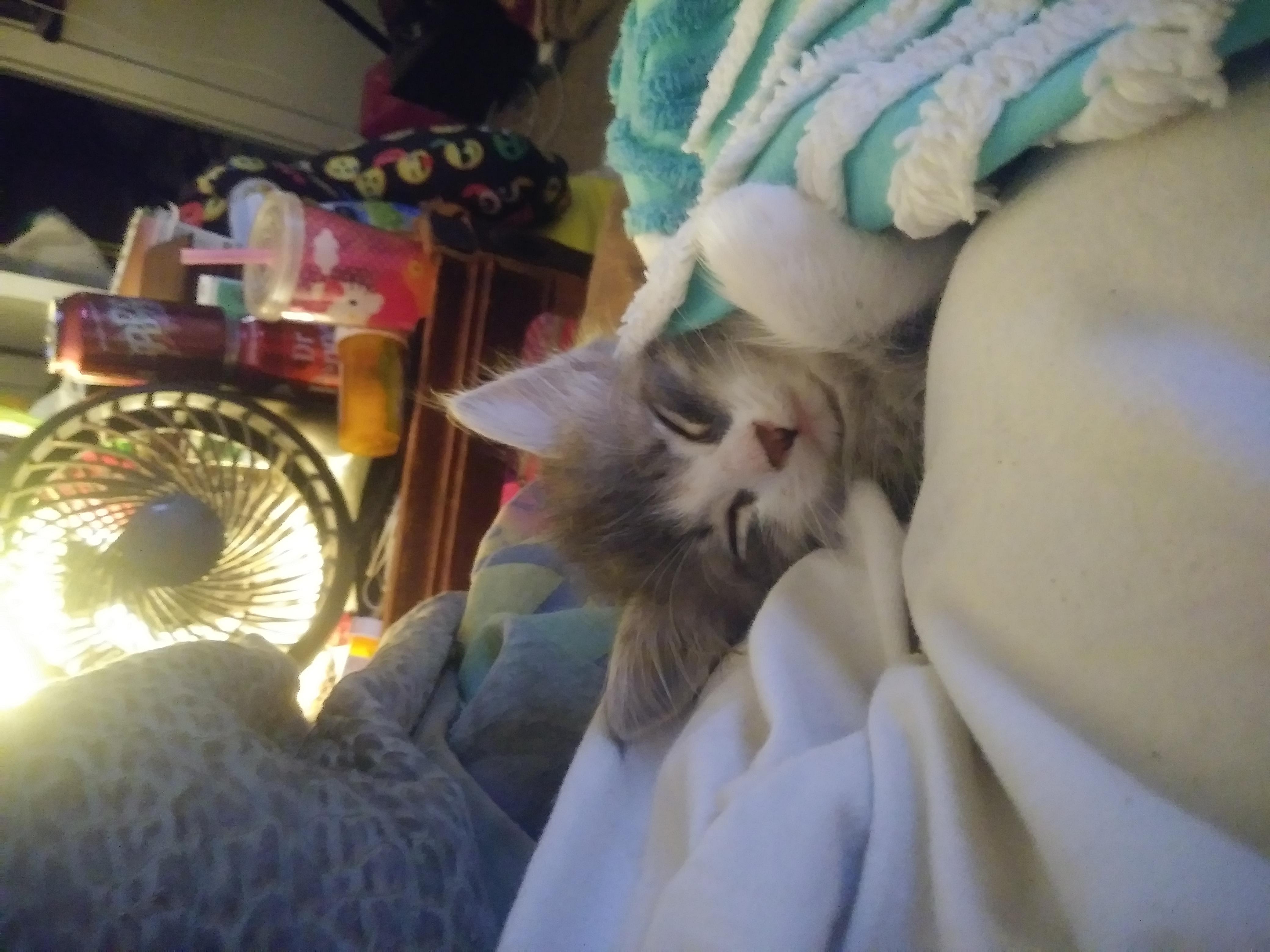 Question details sensitive content