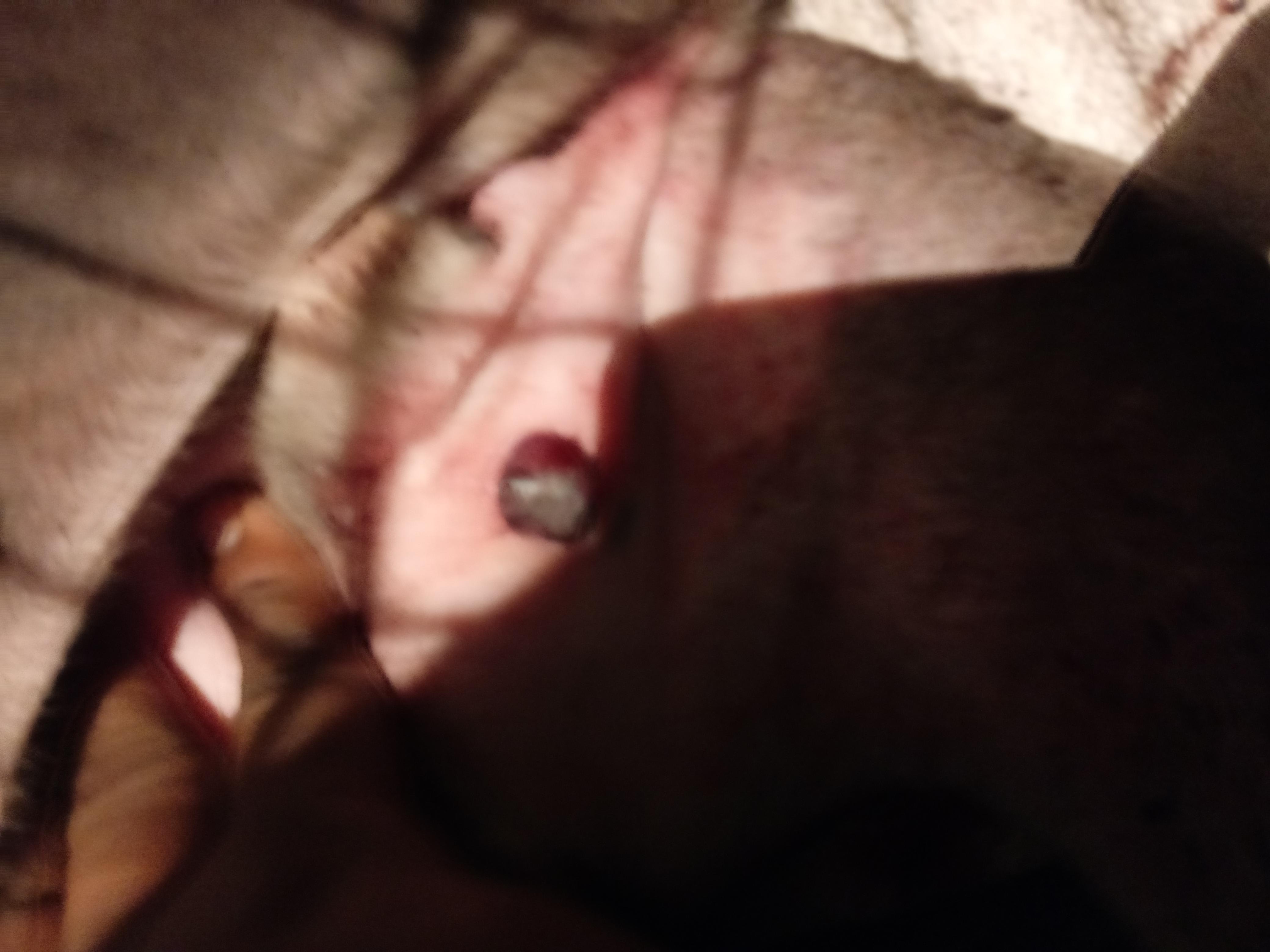 Question details sensitive content