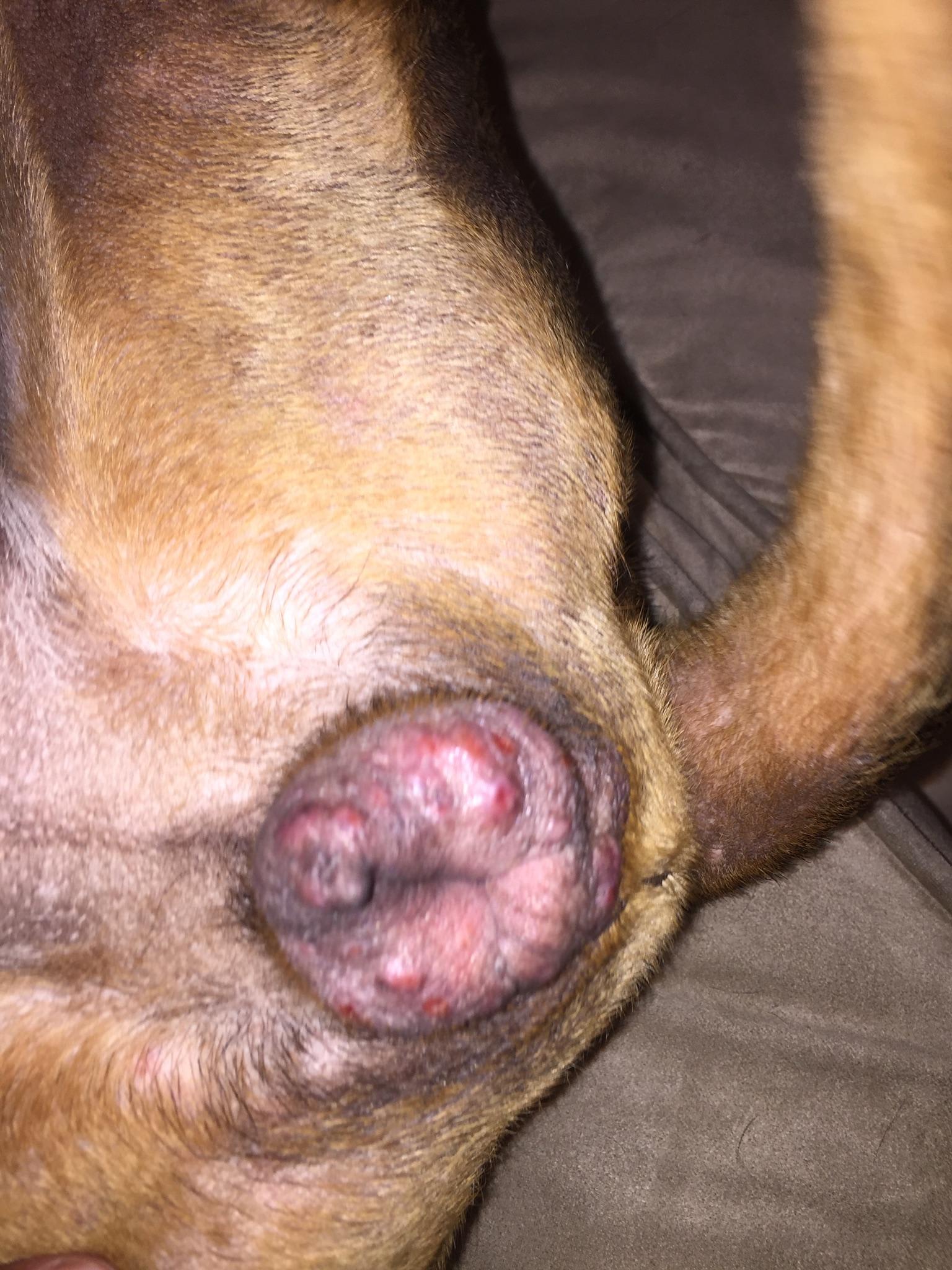 Question details sensitive content