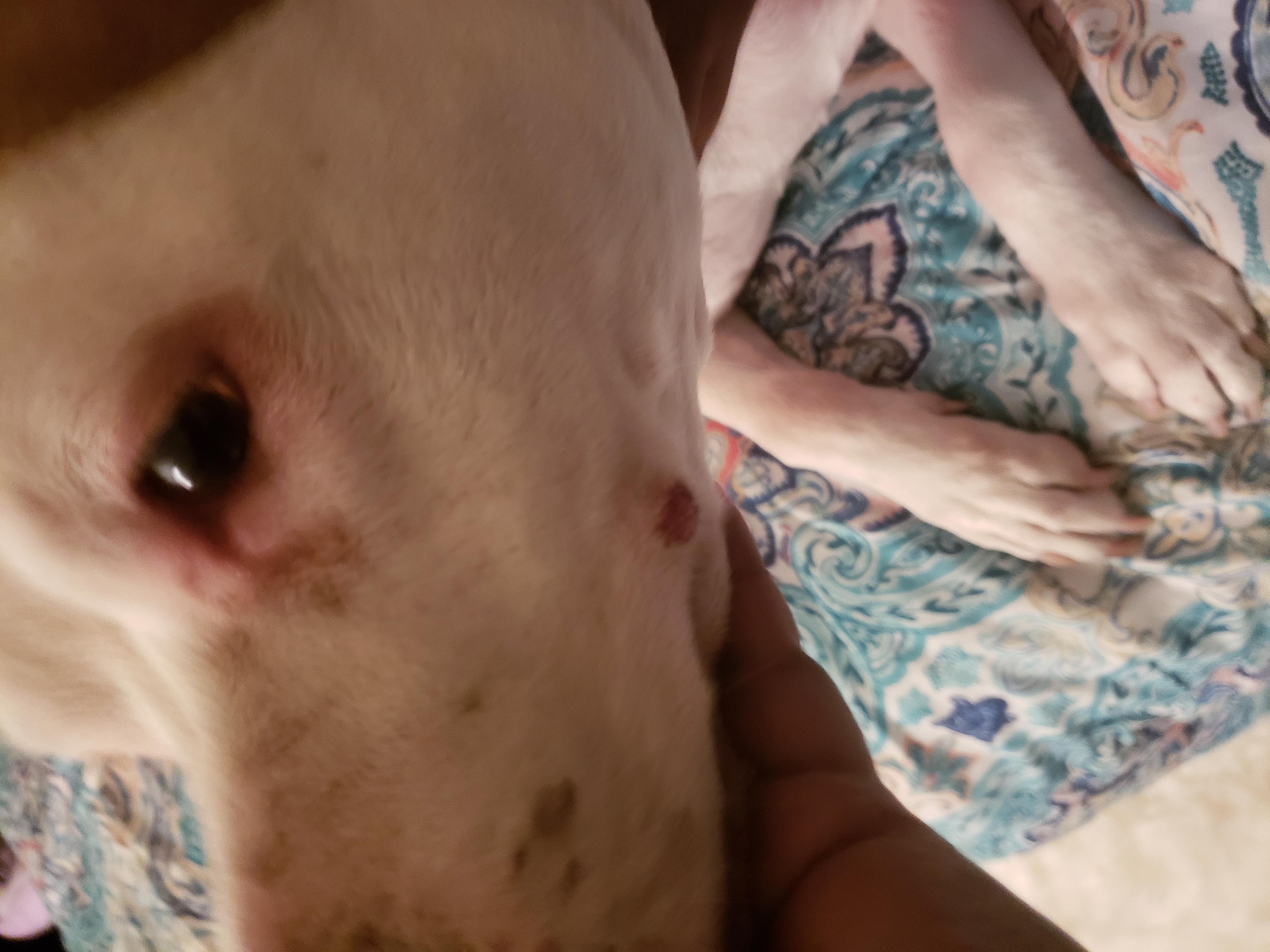 Question details sensitive content