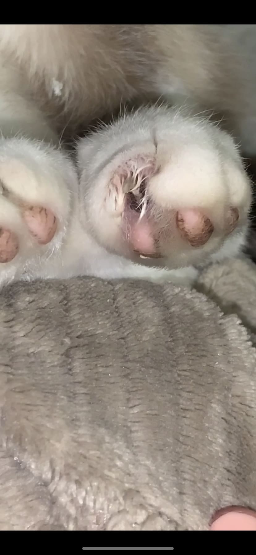 Question details sensitive content