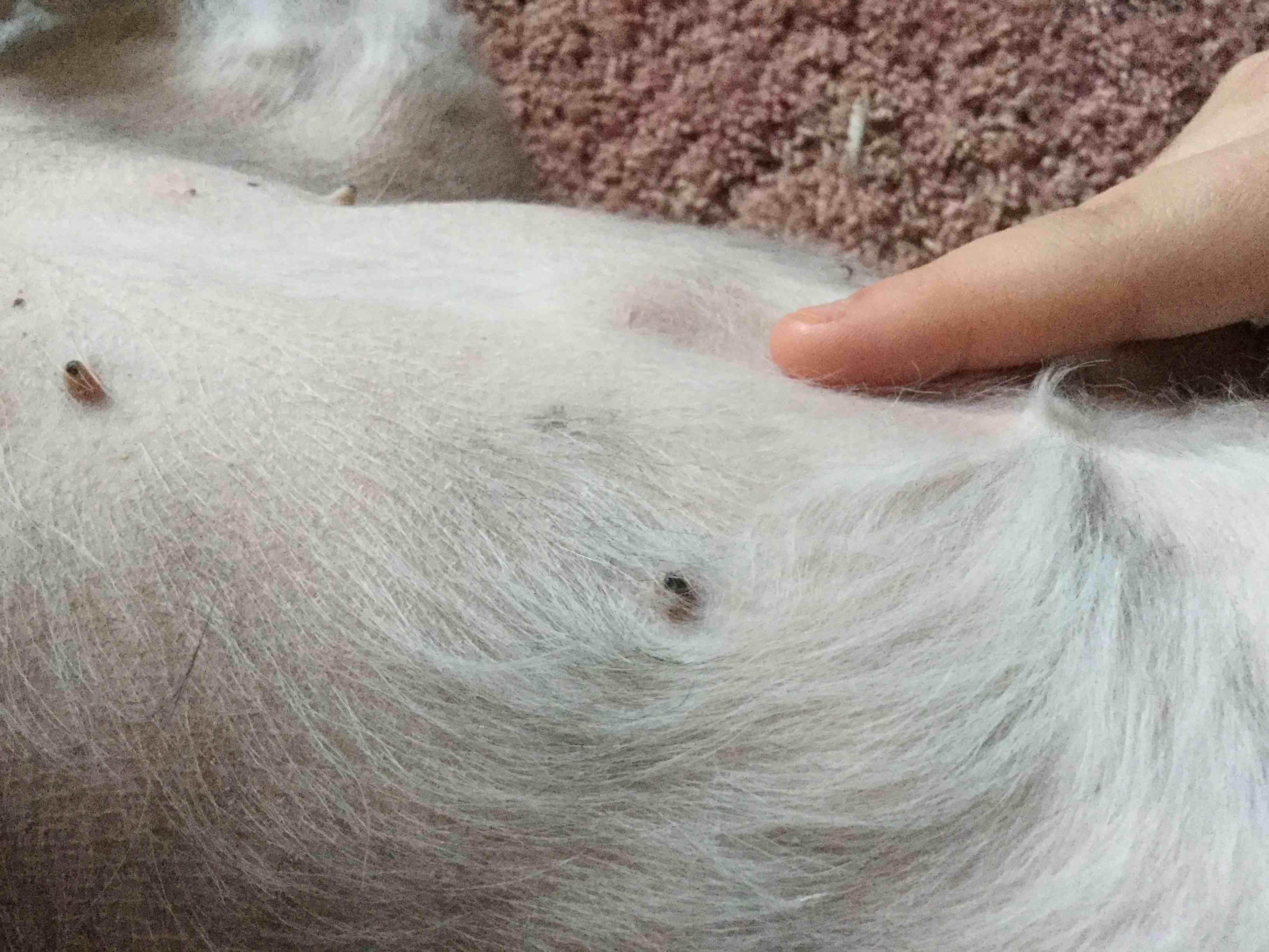 Question details sensitive content