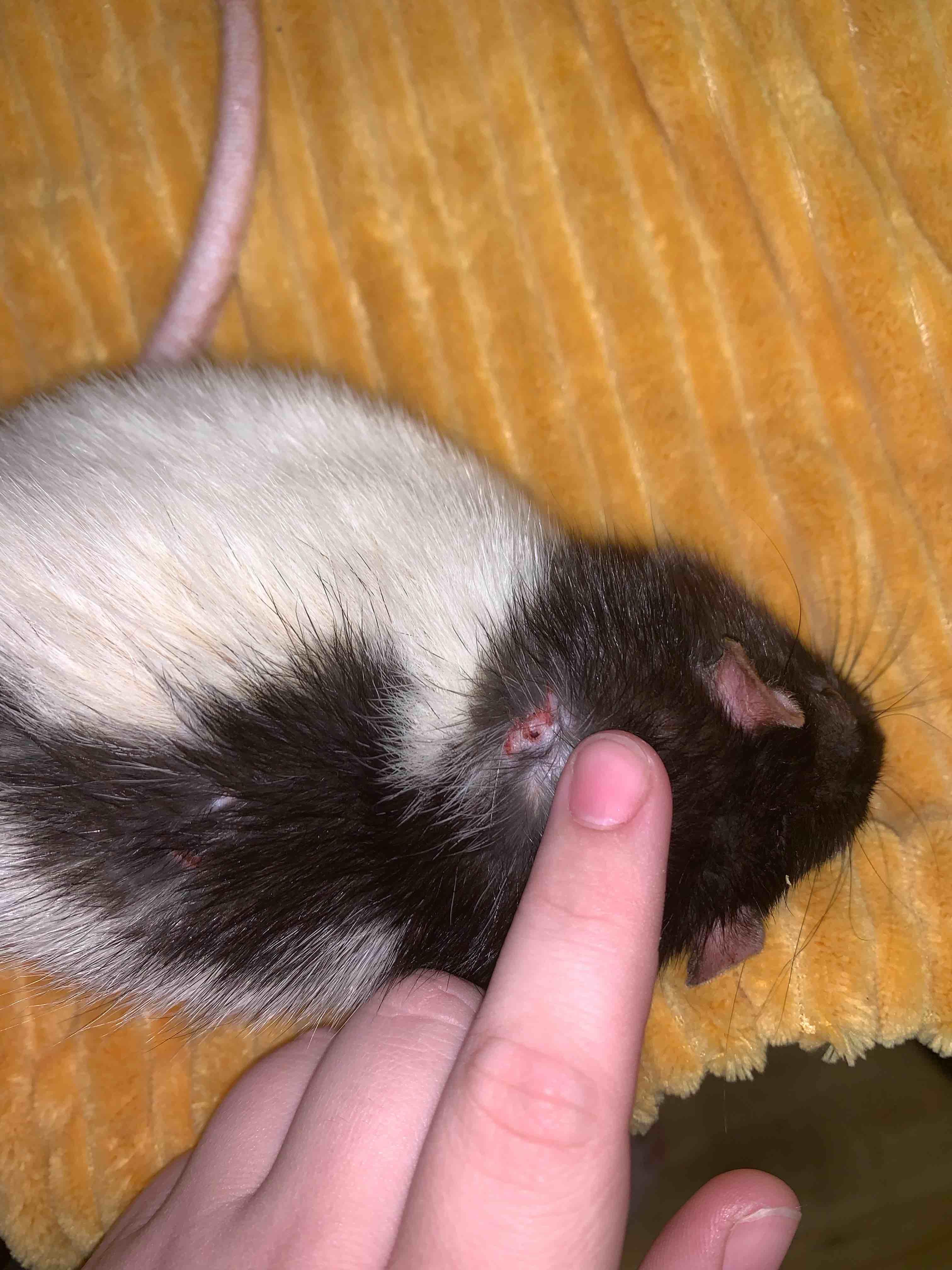 Question details sensitive content