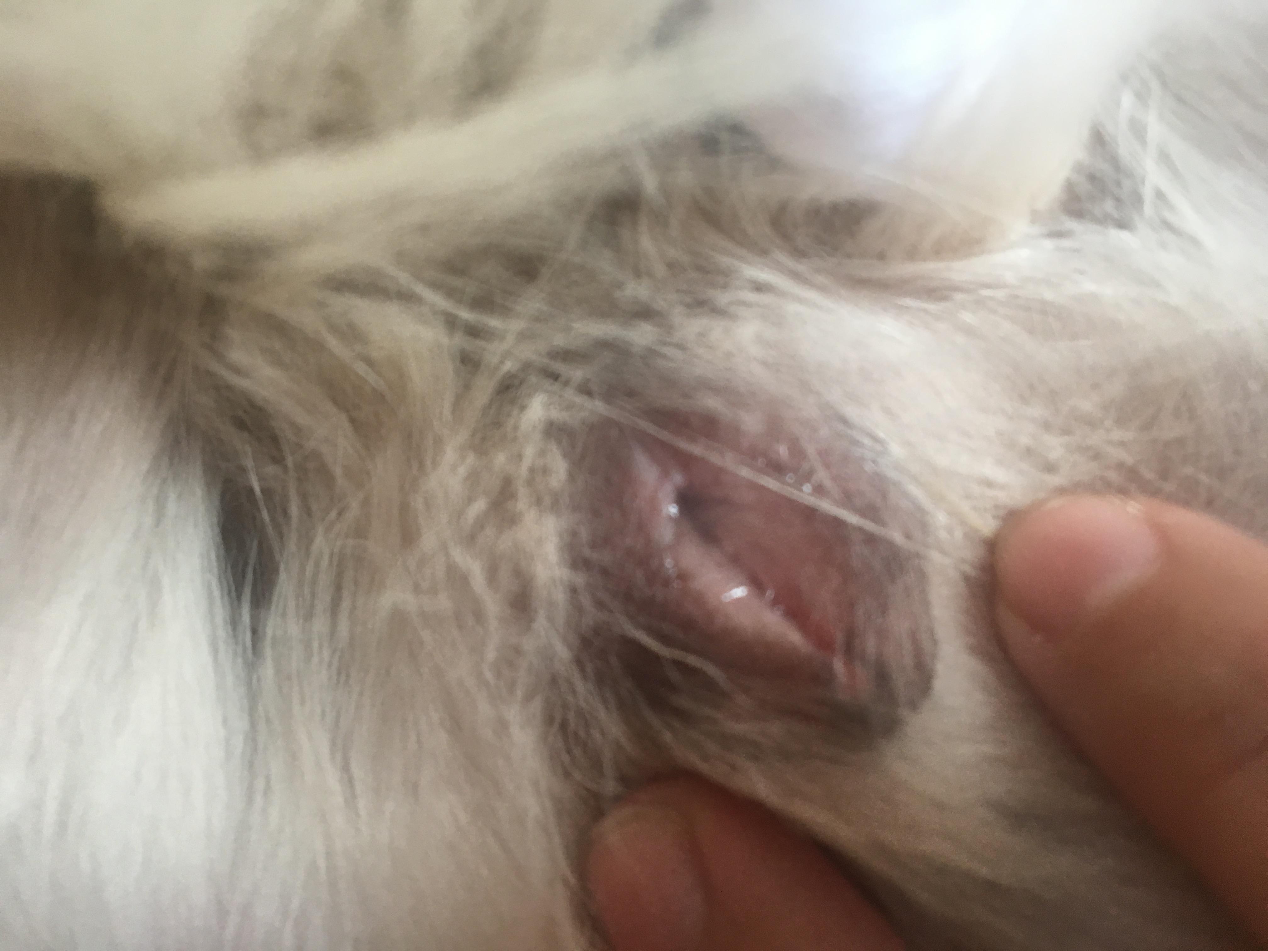 Question details sensitive content