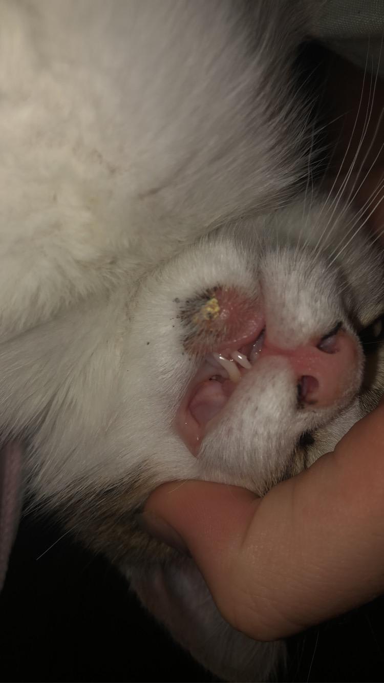 Question details sensitive content