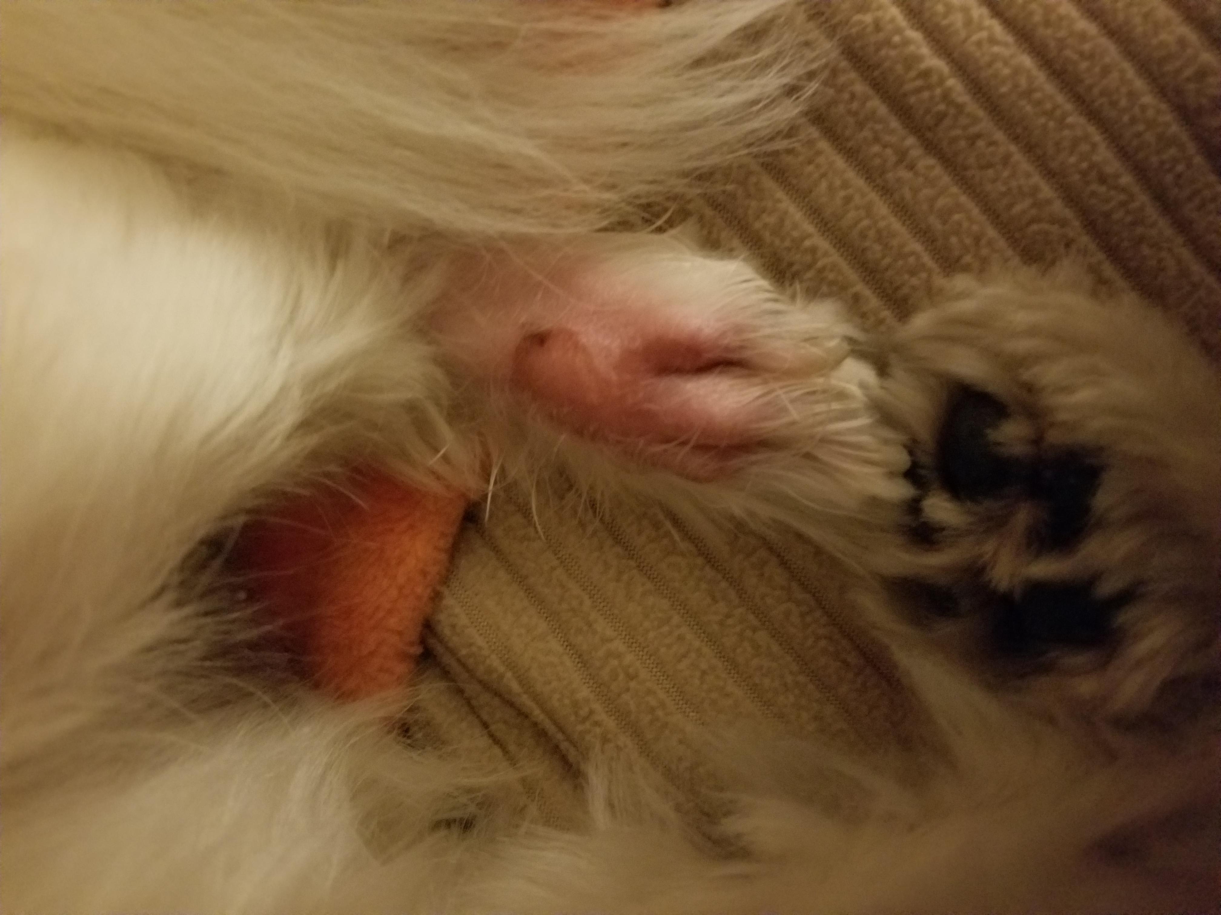 Question details sensitive content