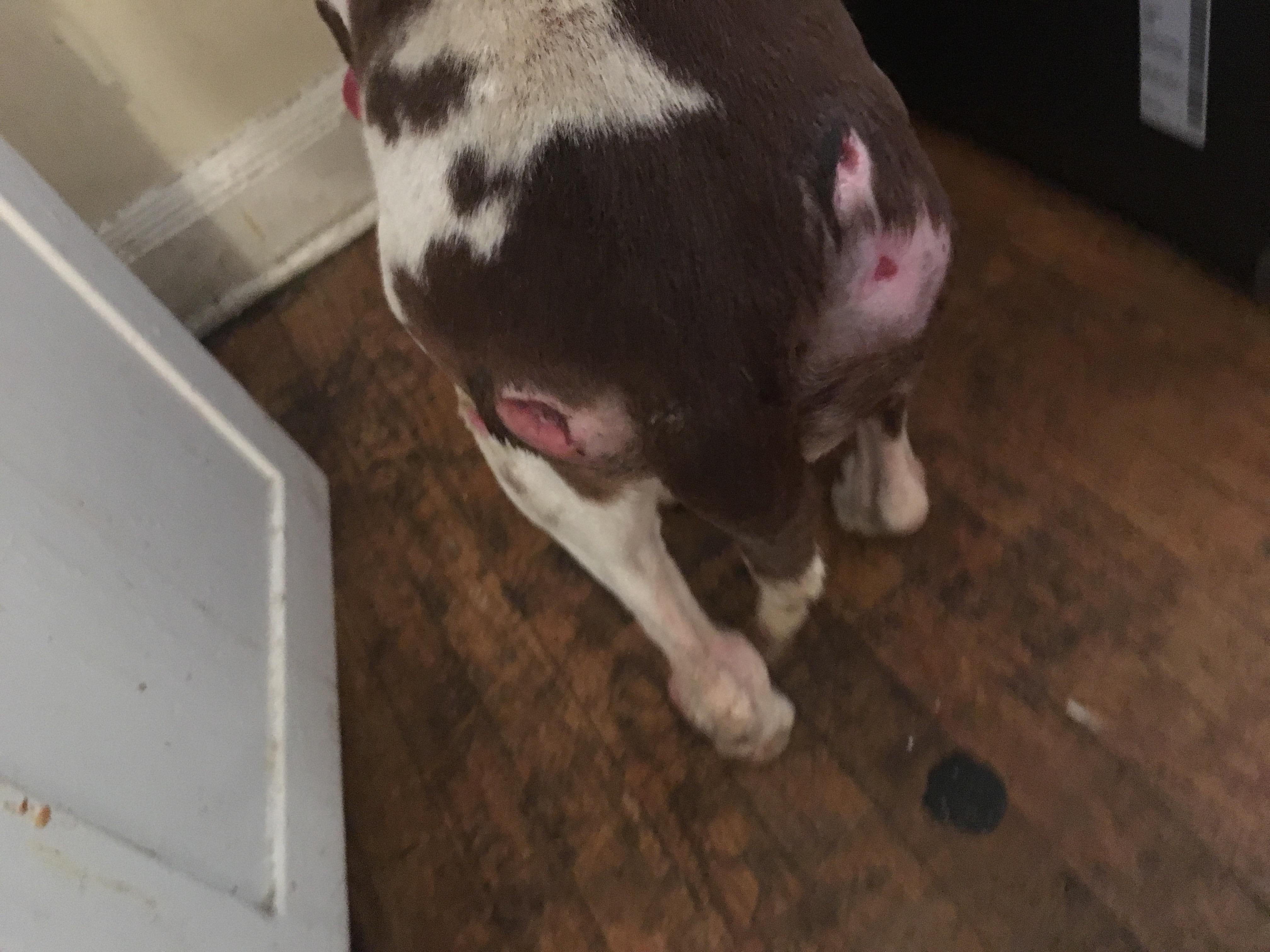 Question details sensitive content