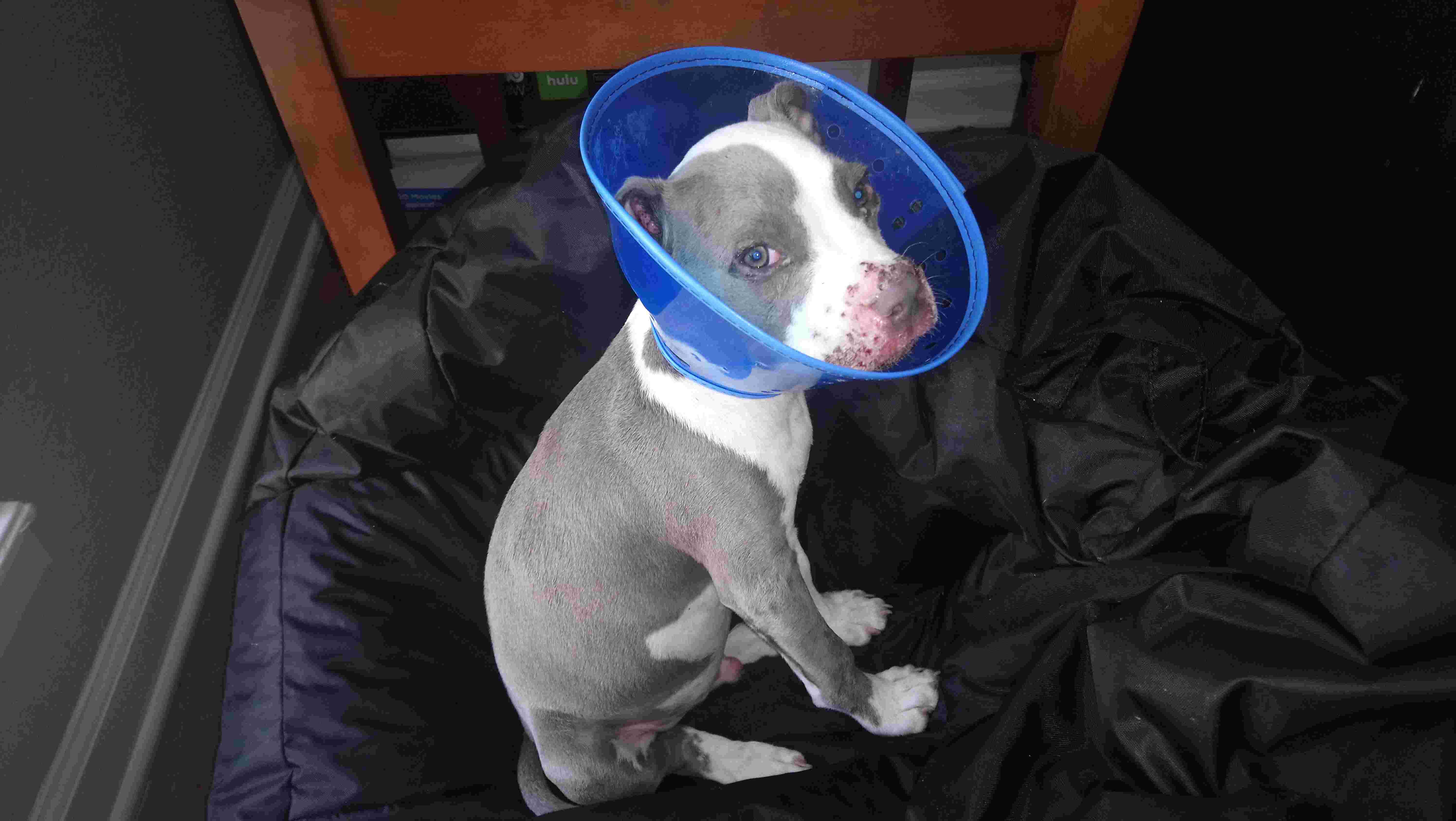 Question details sensitive content