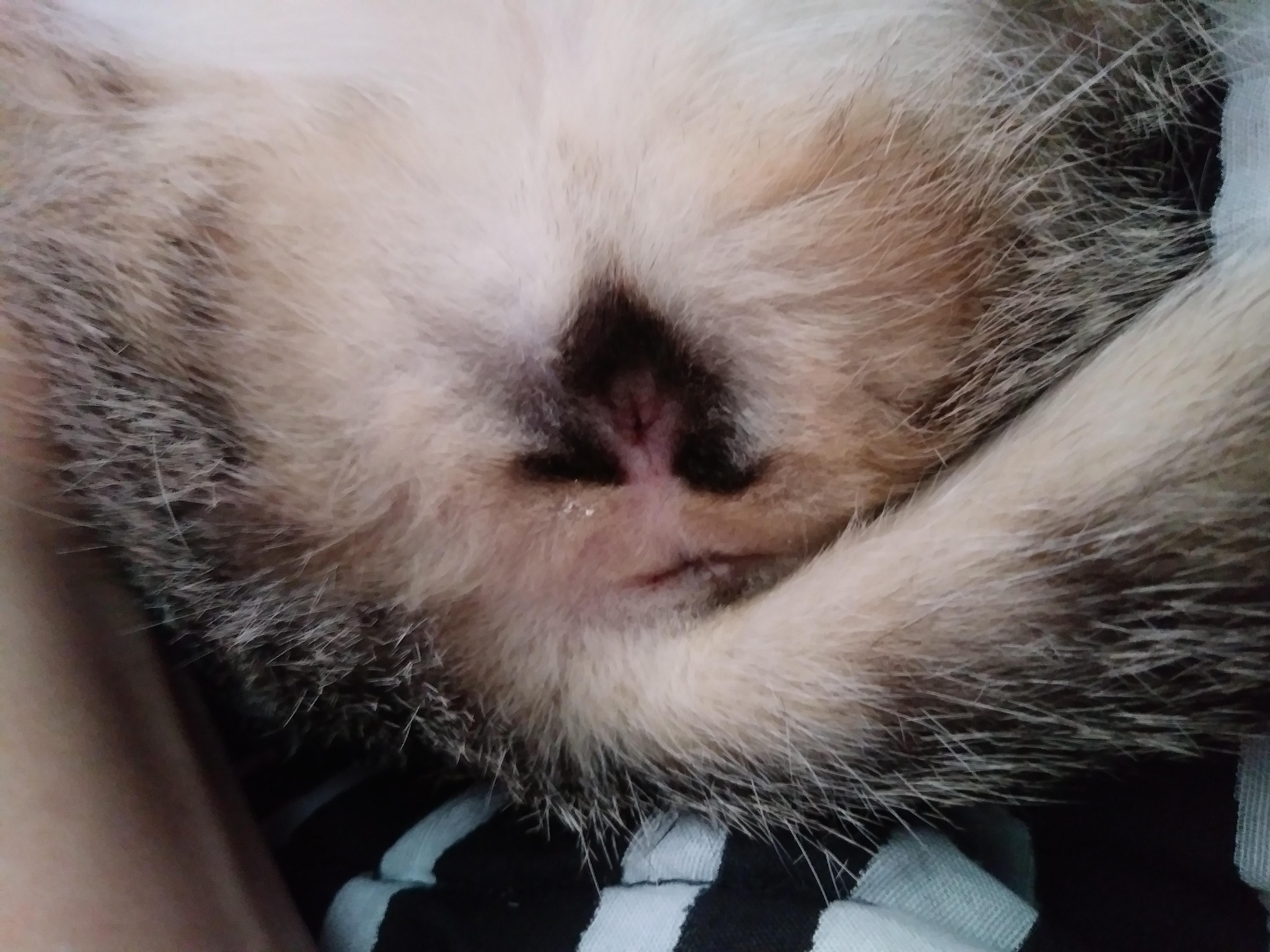 Question details sensitive content