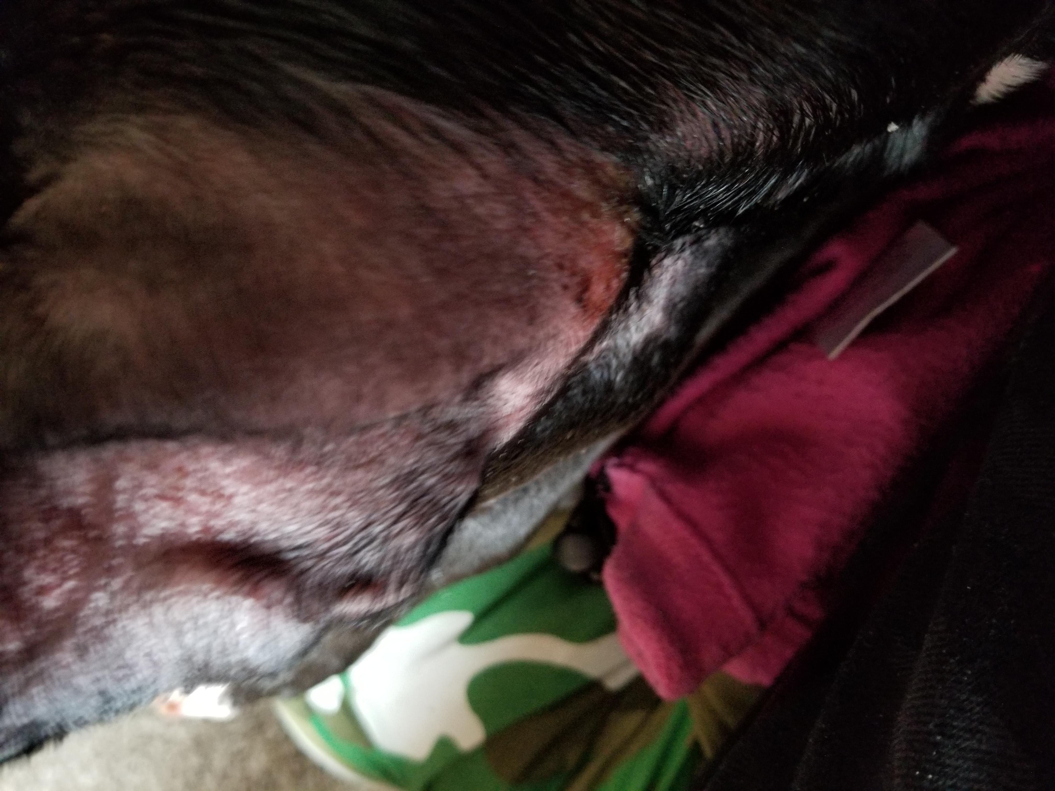 Question details sensitive content