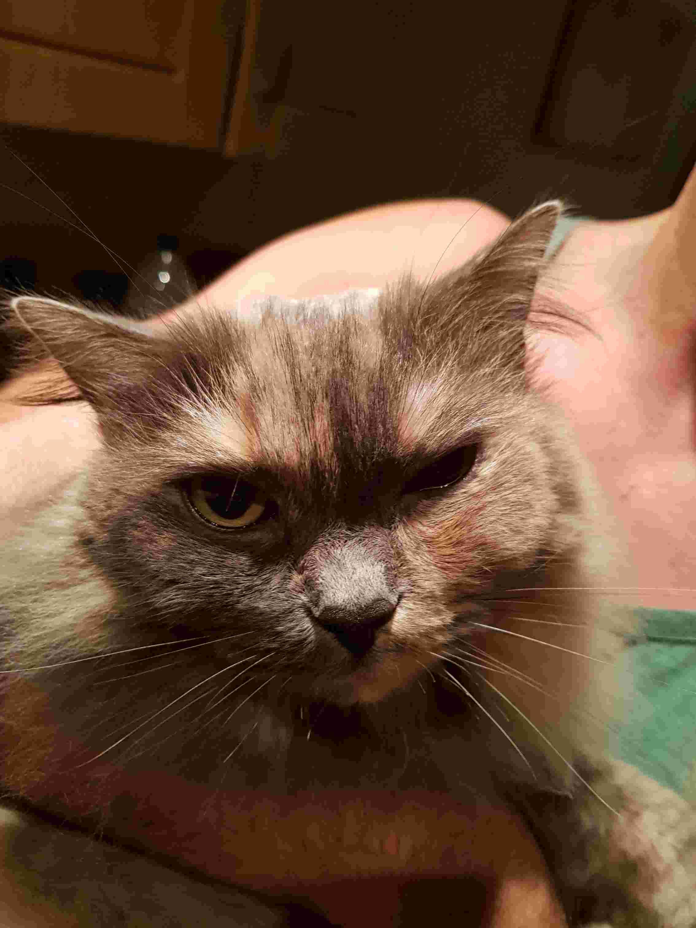 Question details sensitive content