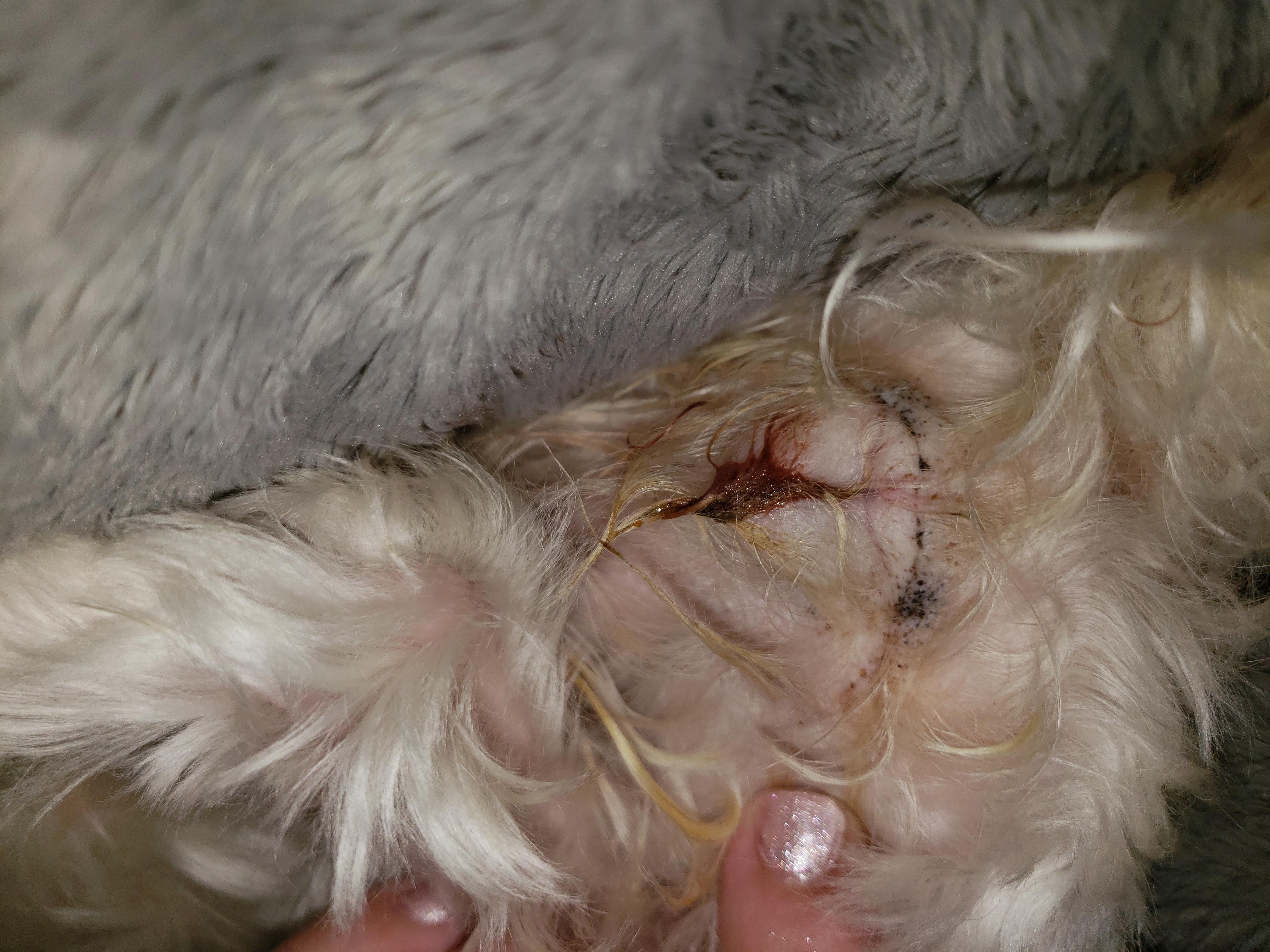 Question details sensitive content