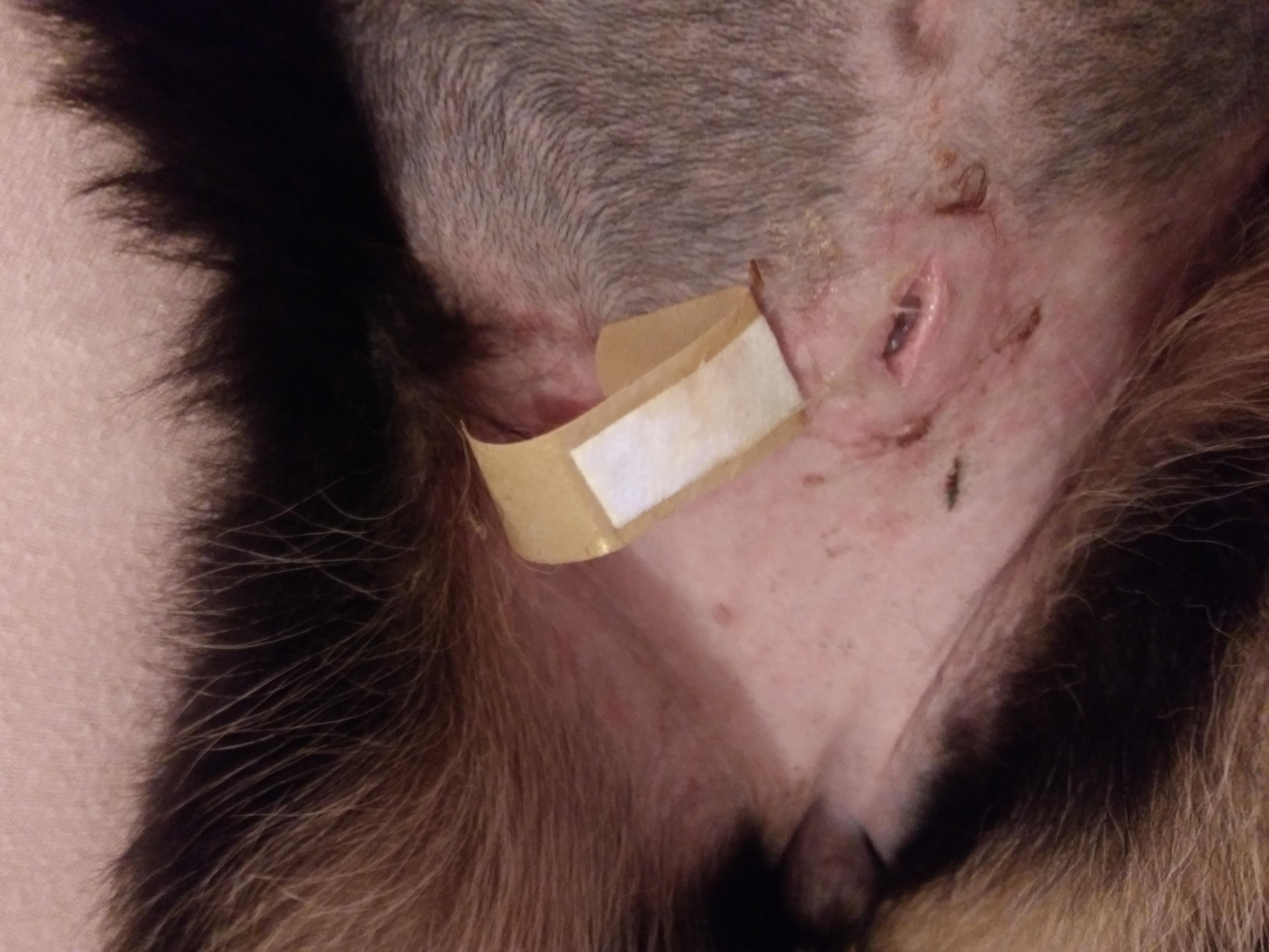 Question details sensitive content