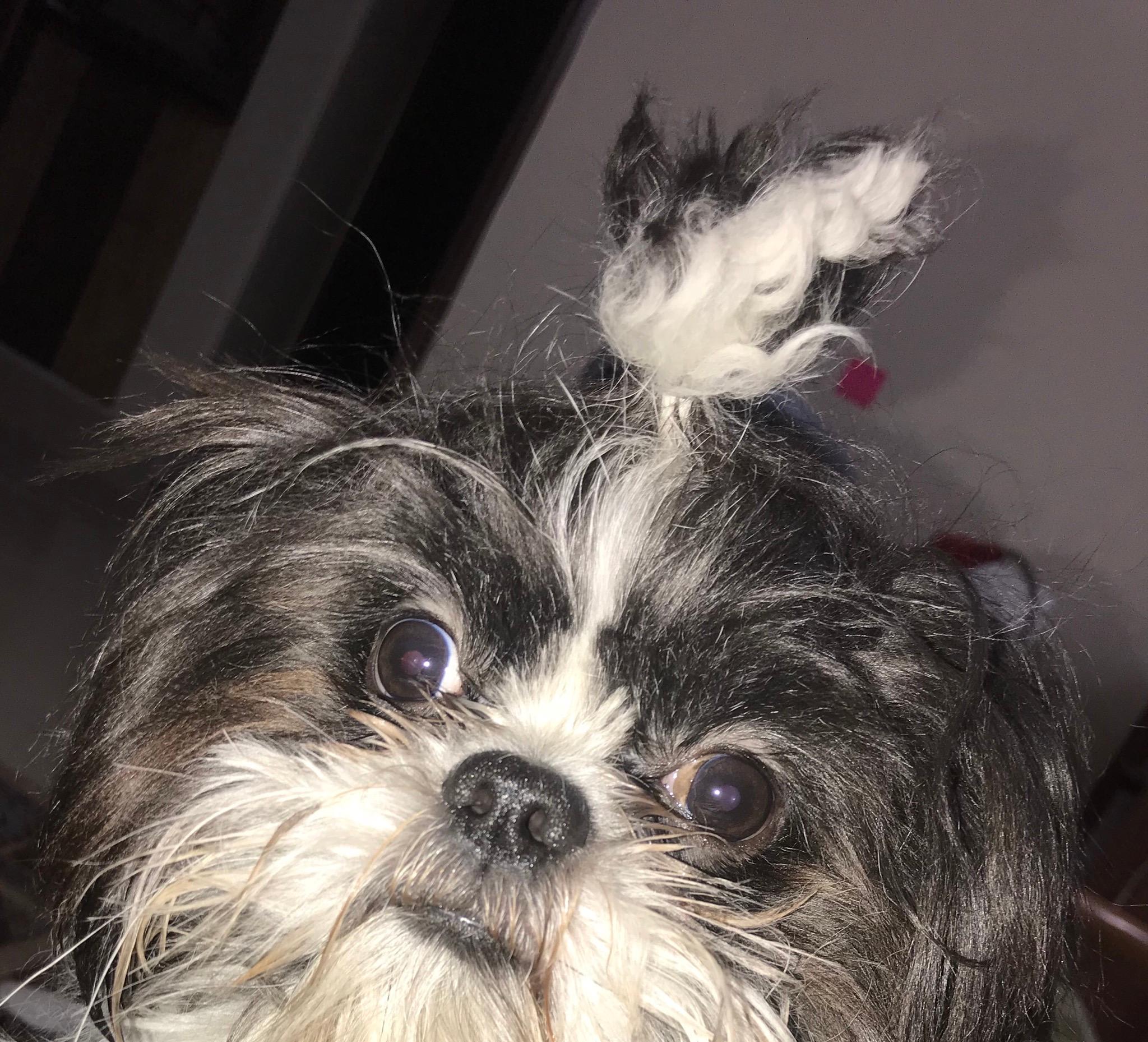 Question details sensitive content