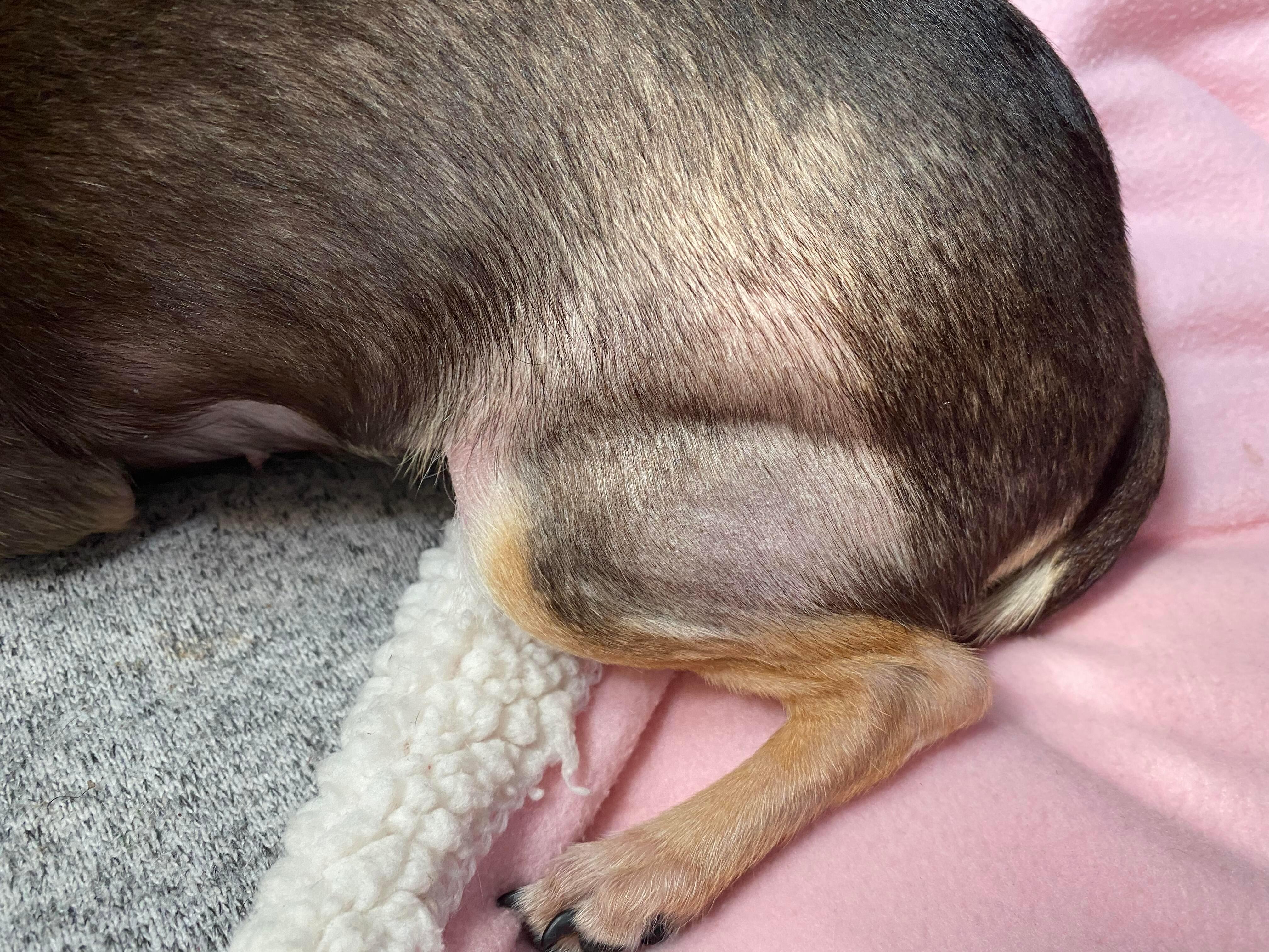 Question details sensitive content