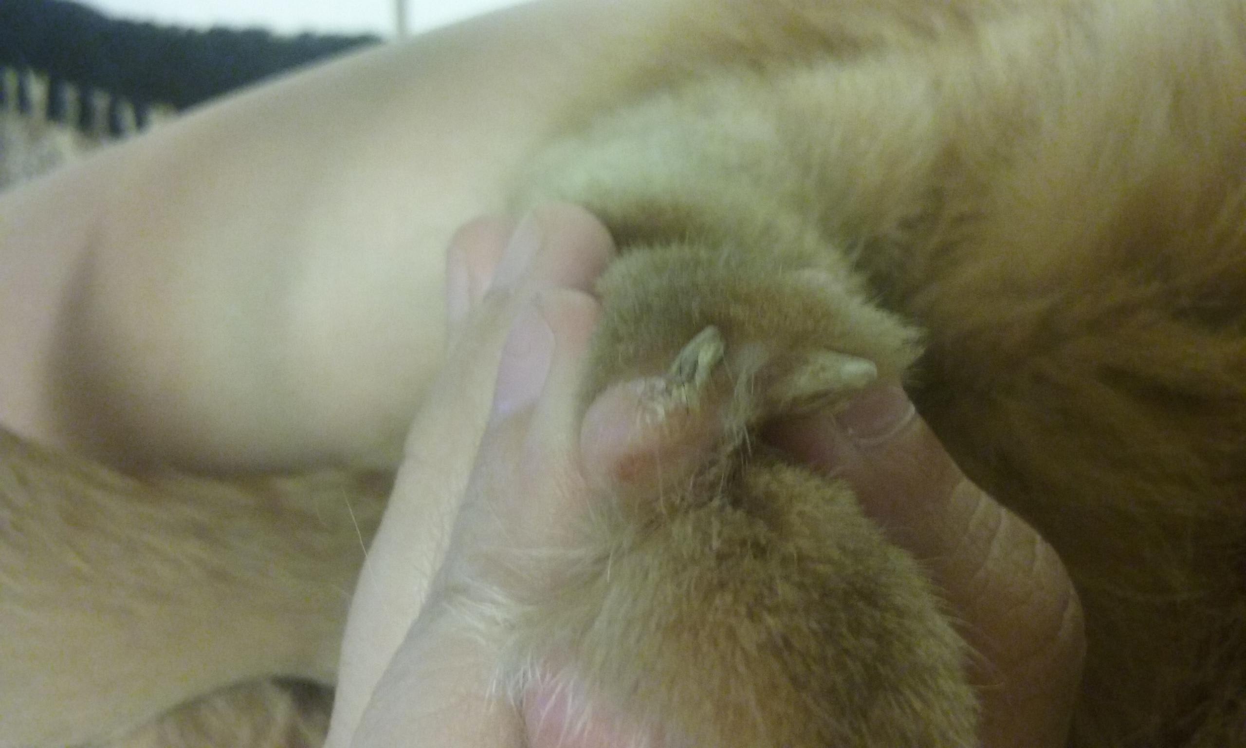 Question details sensitive content