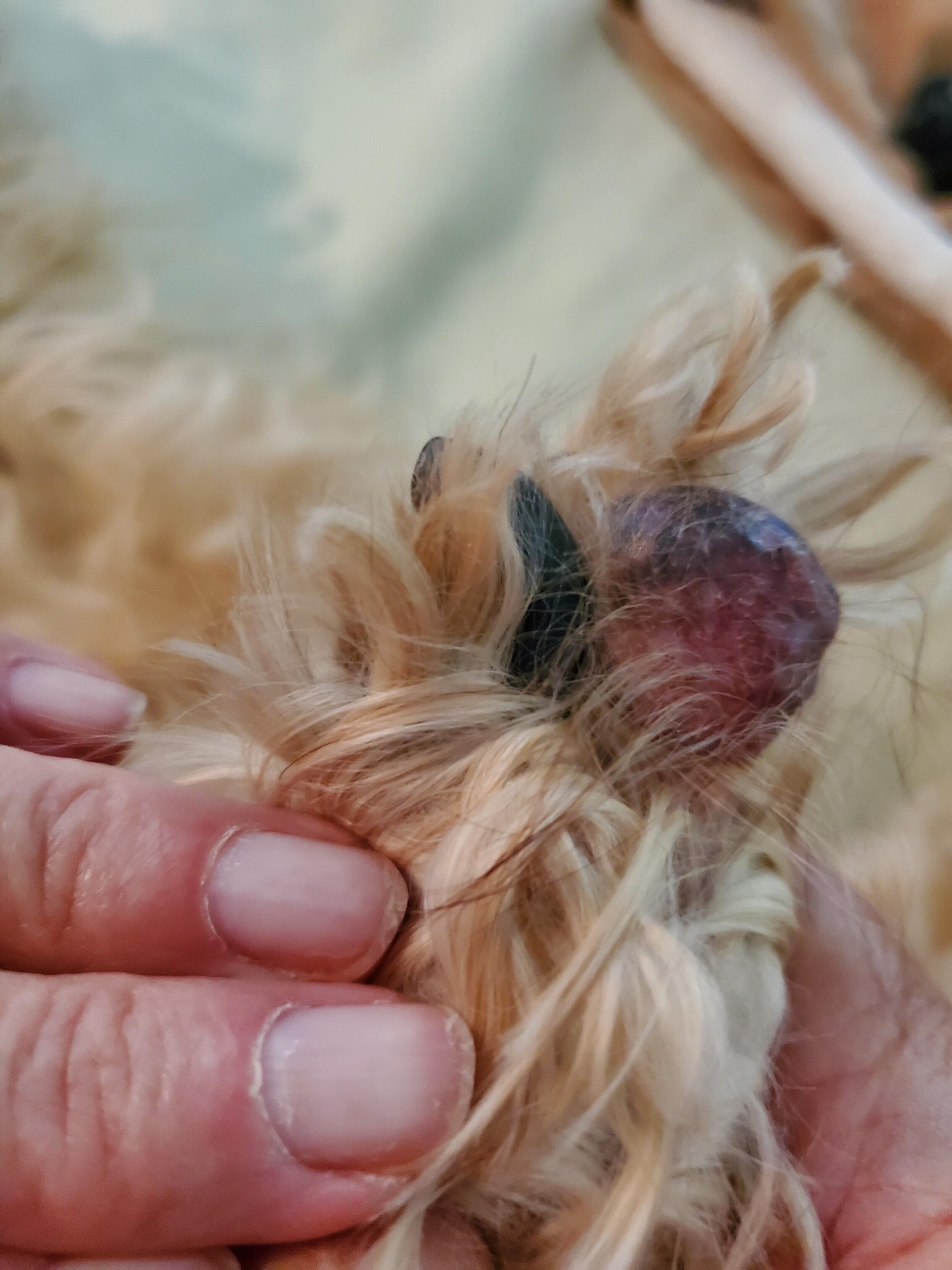 Question details sensitive content