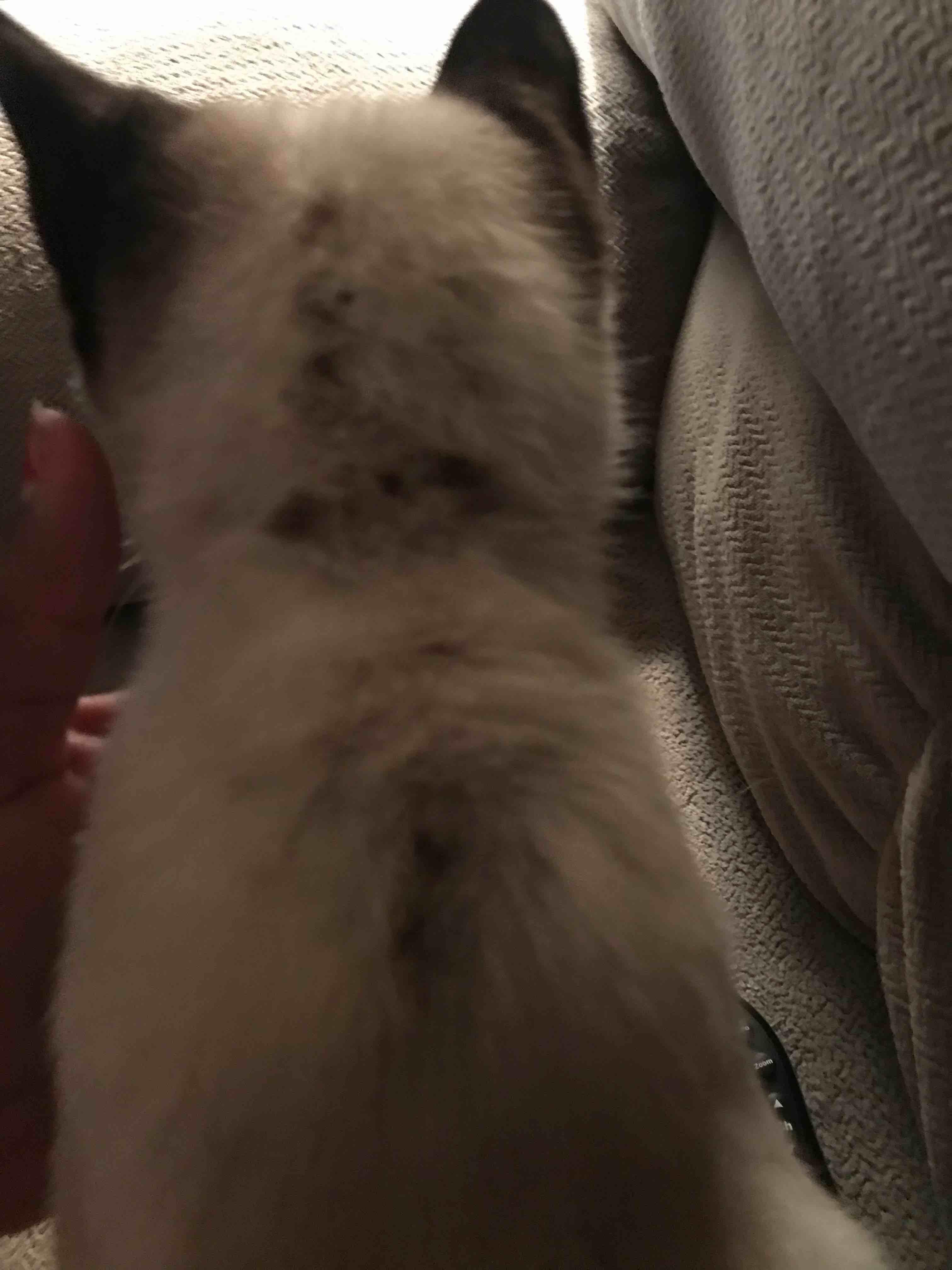 Question details sensitive content