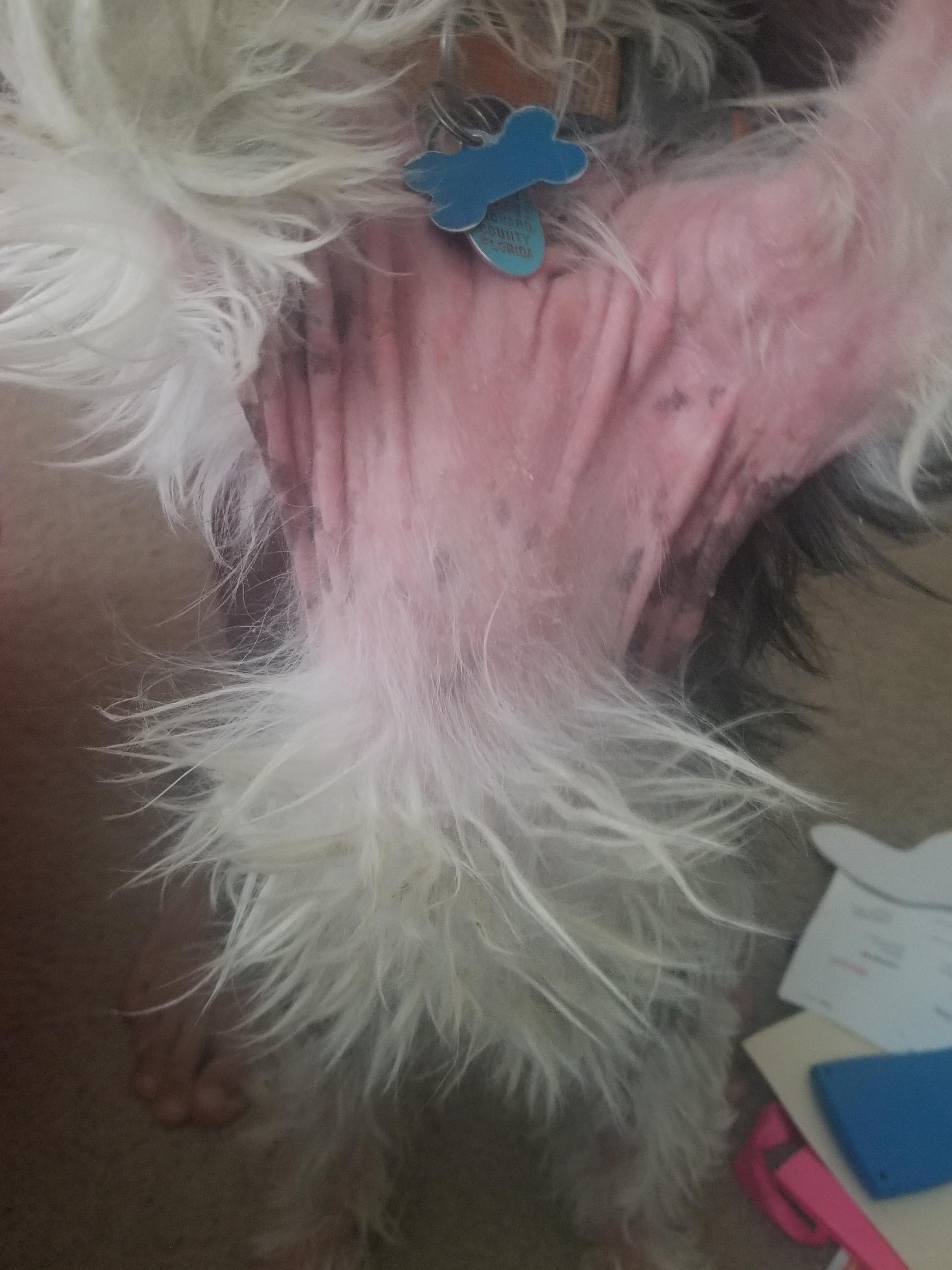 Question details sensitive content