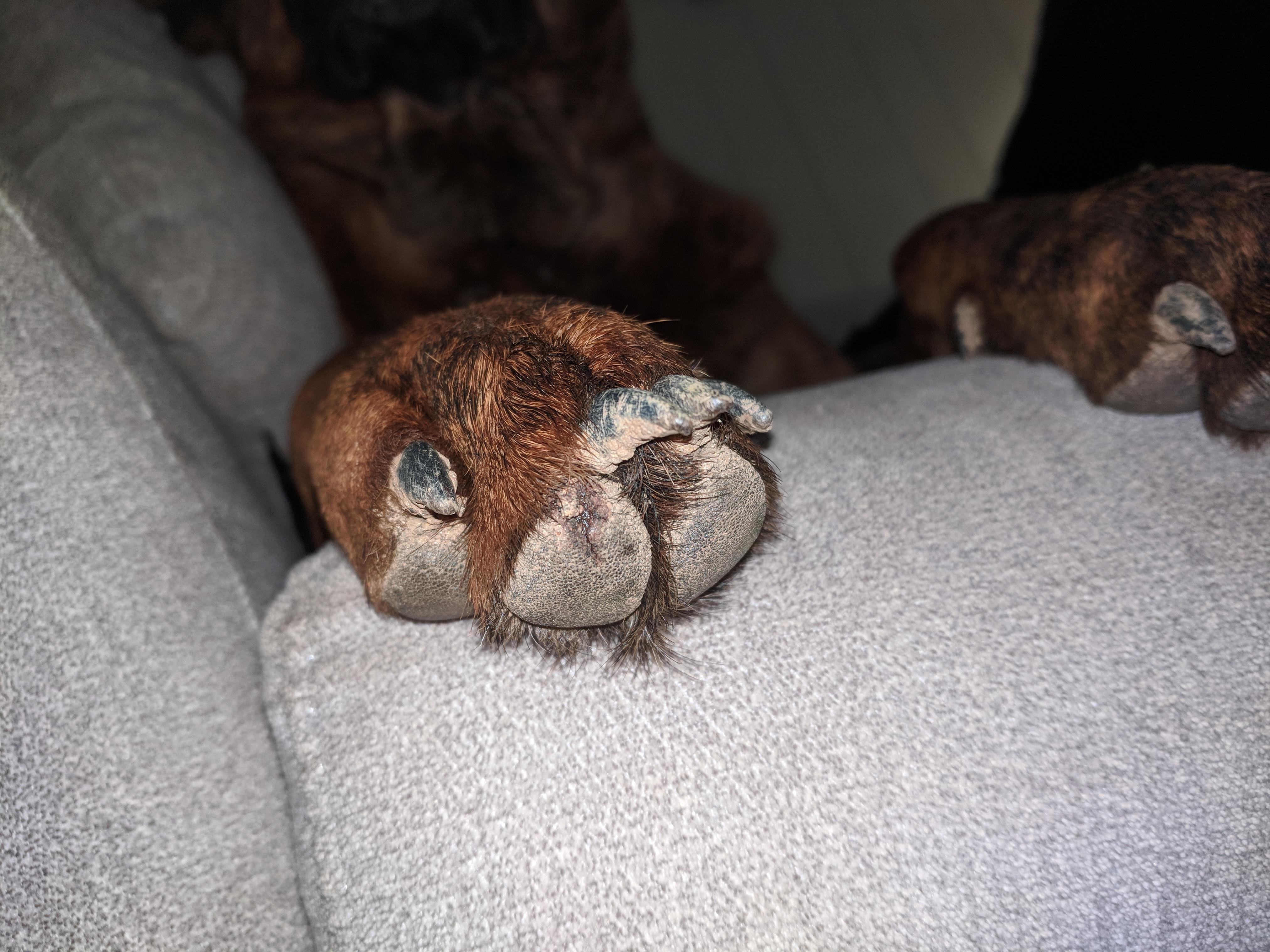 Question details sensitive content