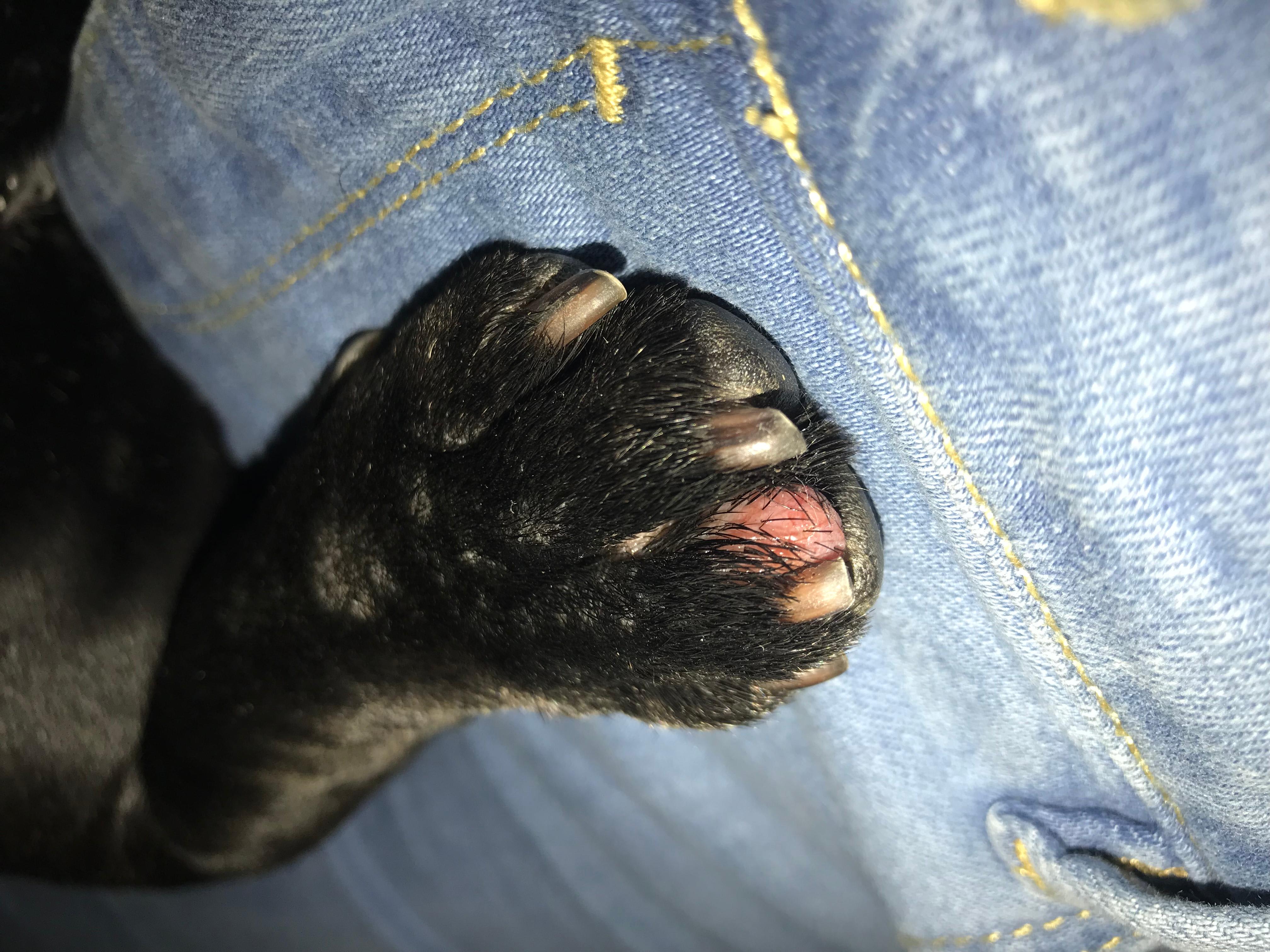 Question details sensitive content