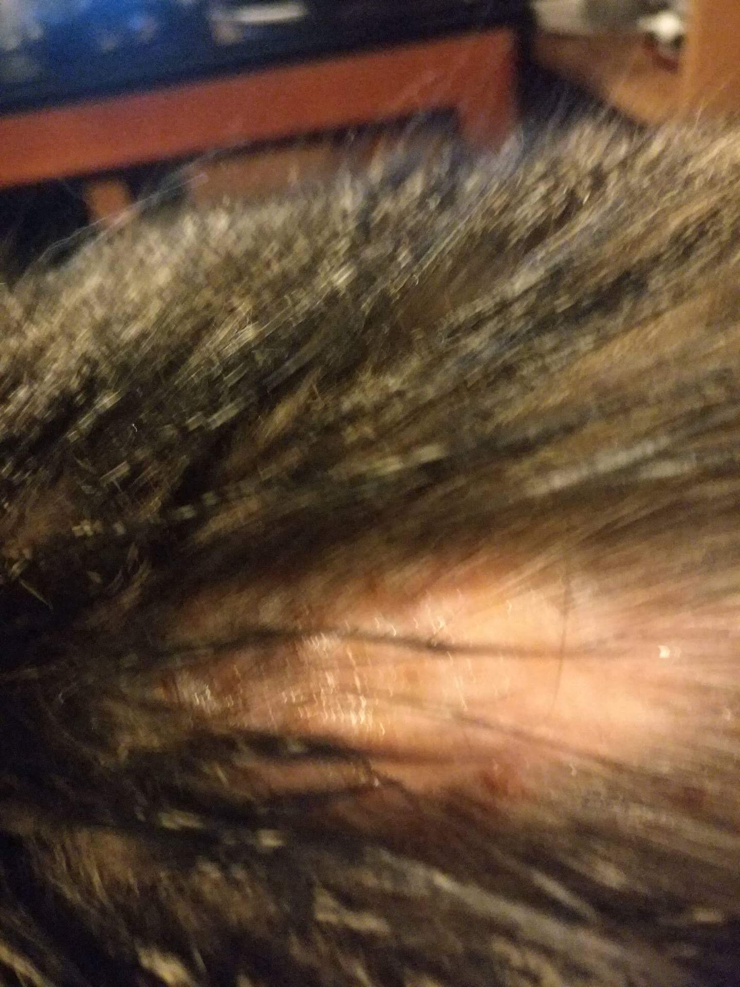 Question details sensitive content