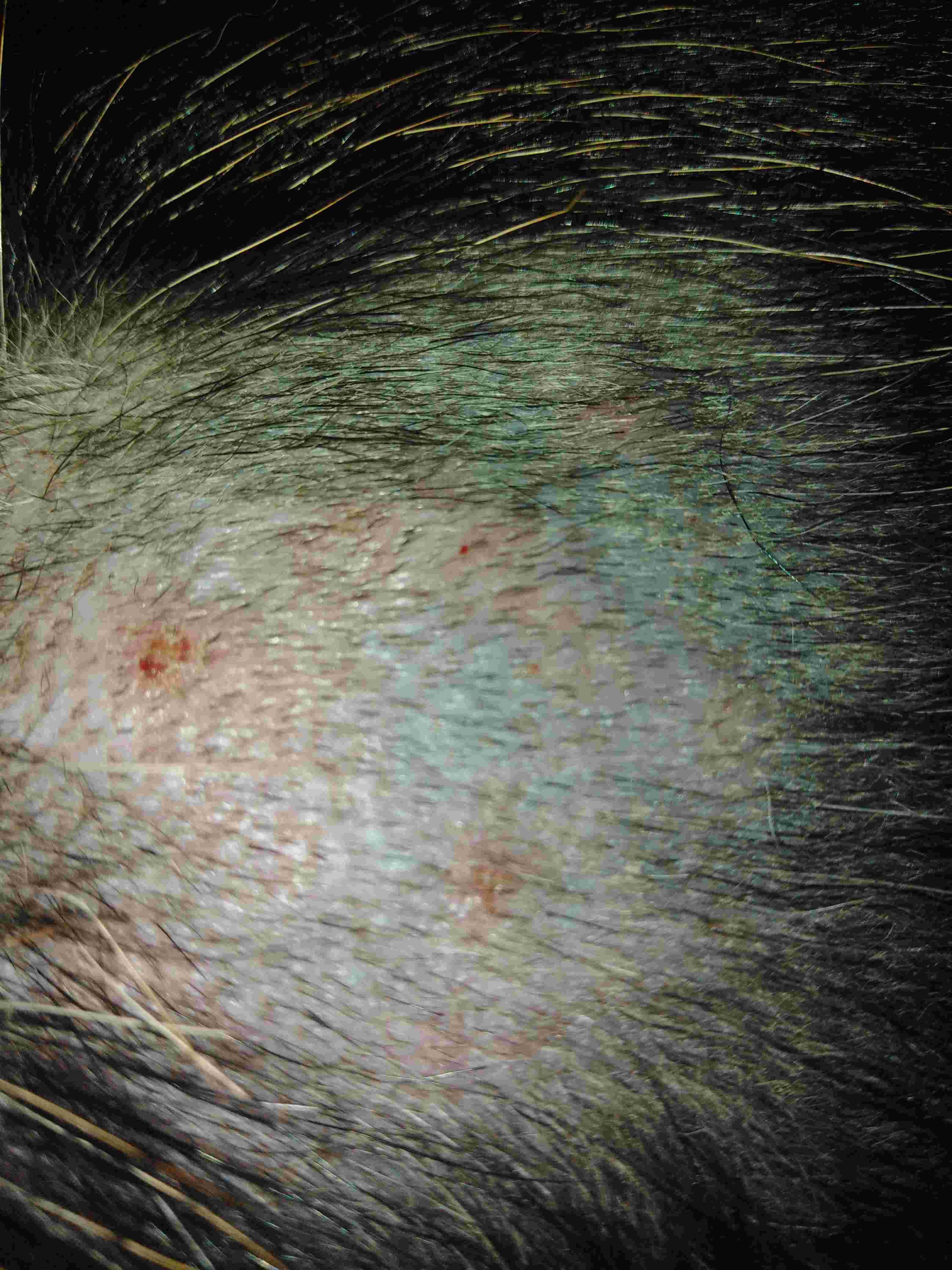 Question details sensitive content