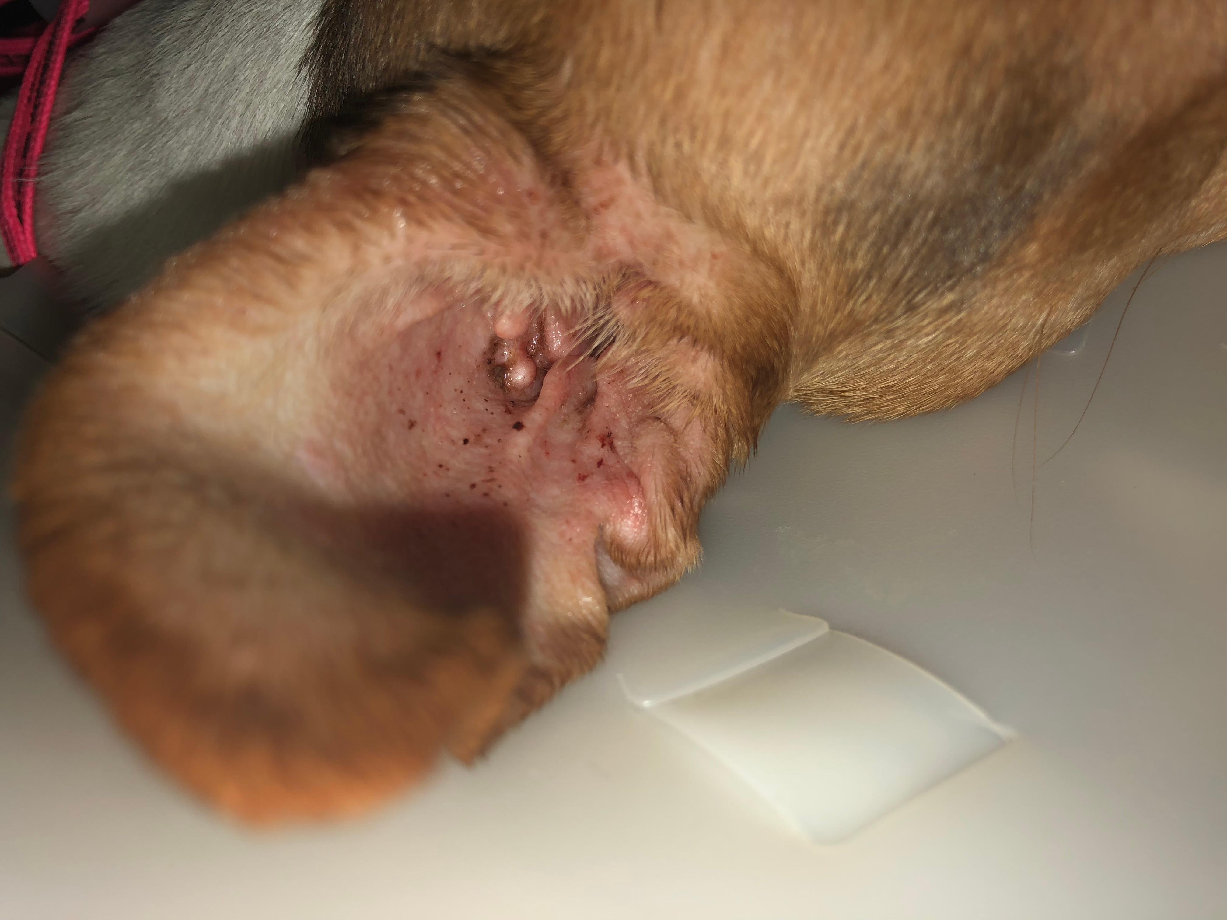 Question details sensitive content