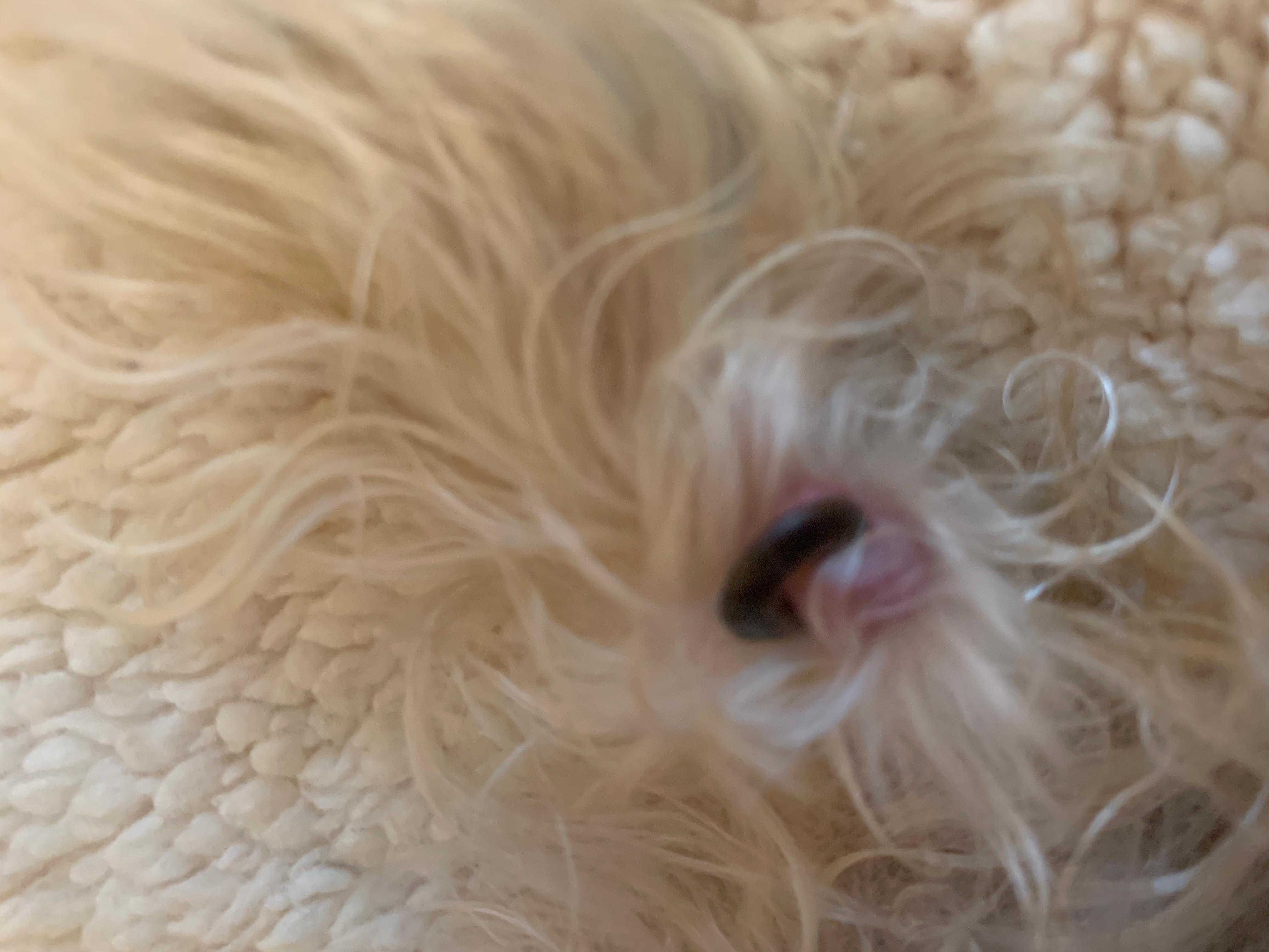 Question details sensitive content