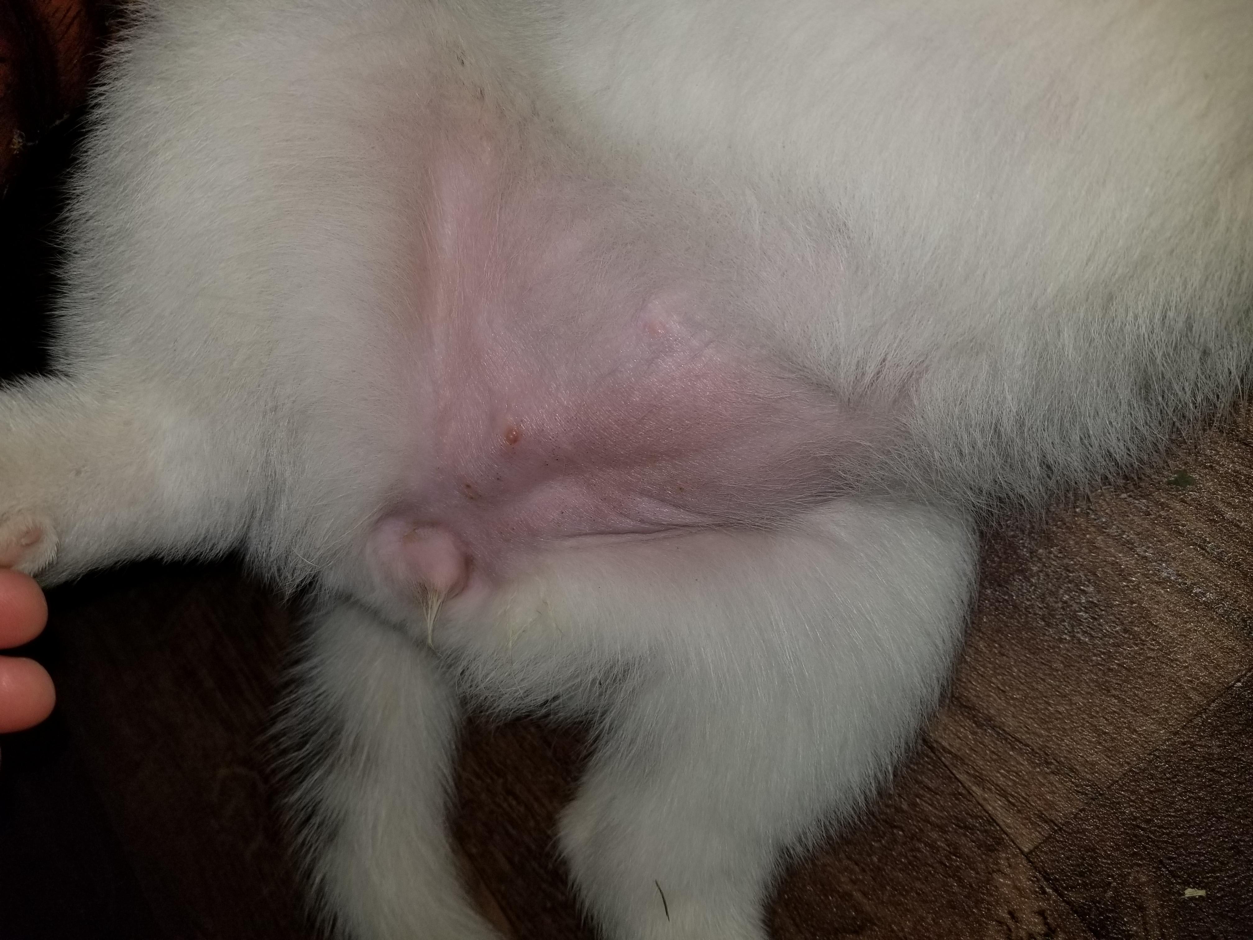 Question details sensitive content