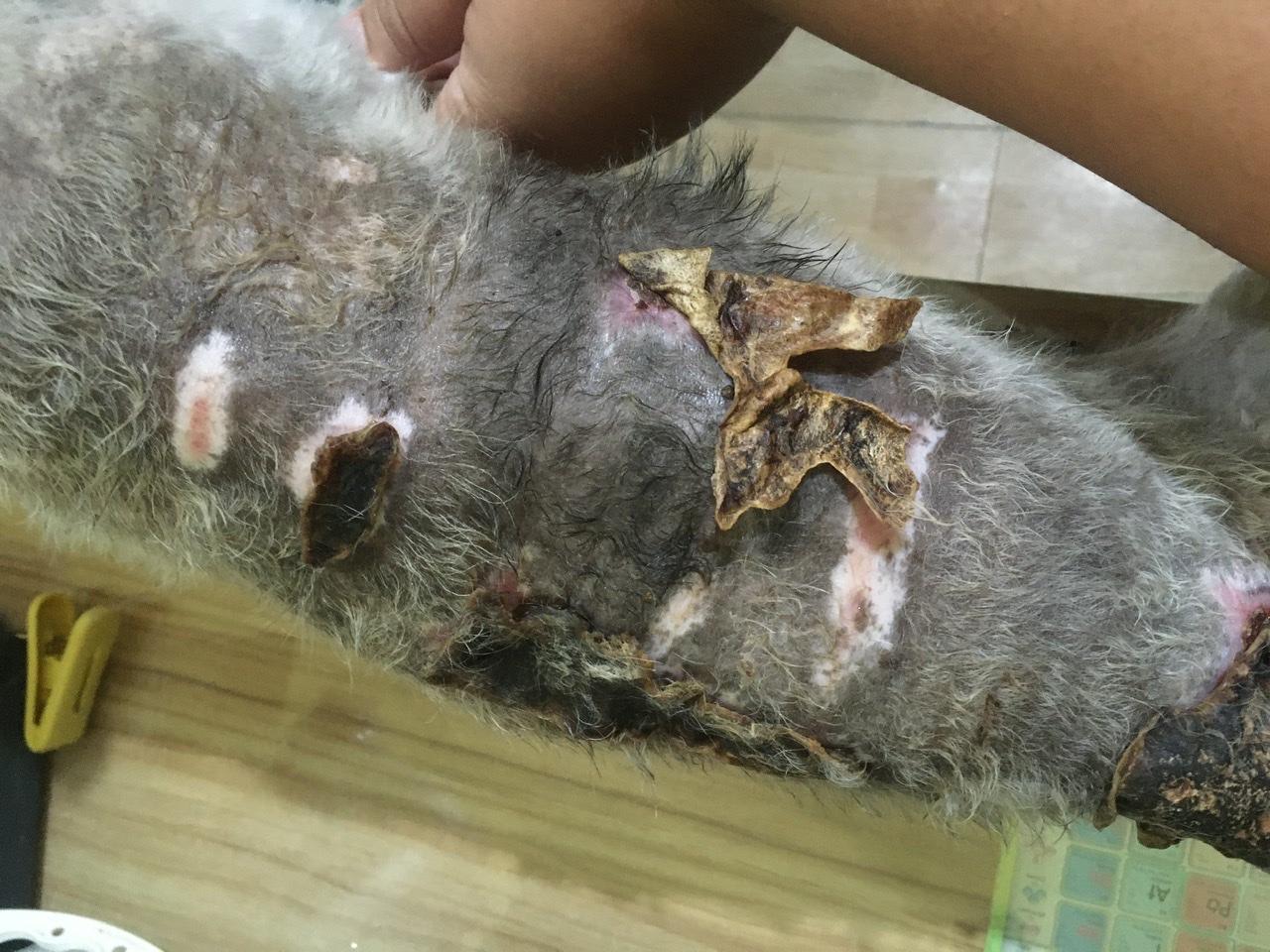 Question details sensitive content