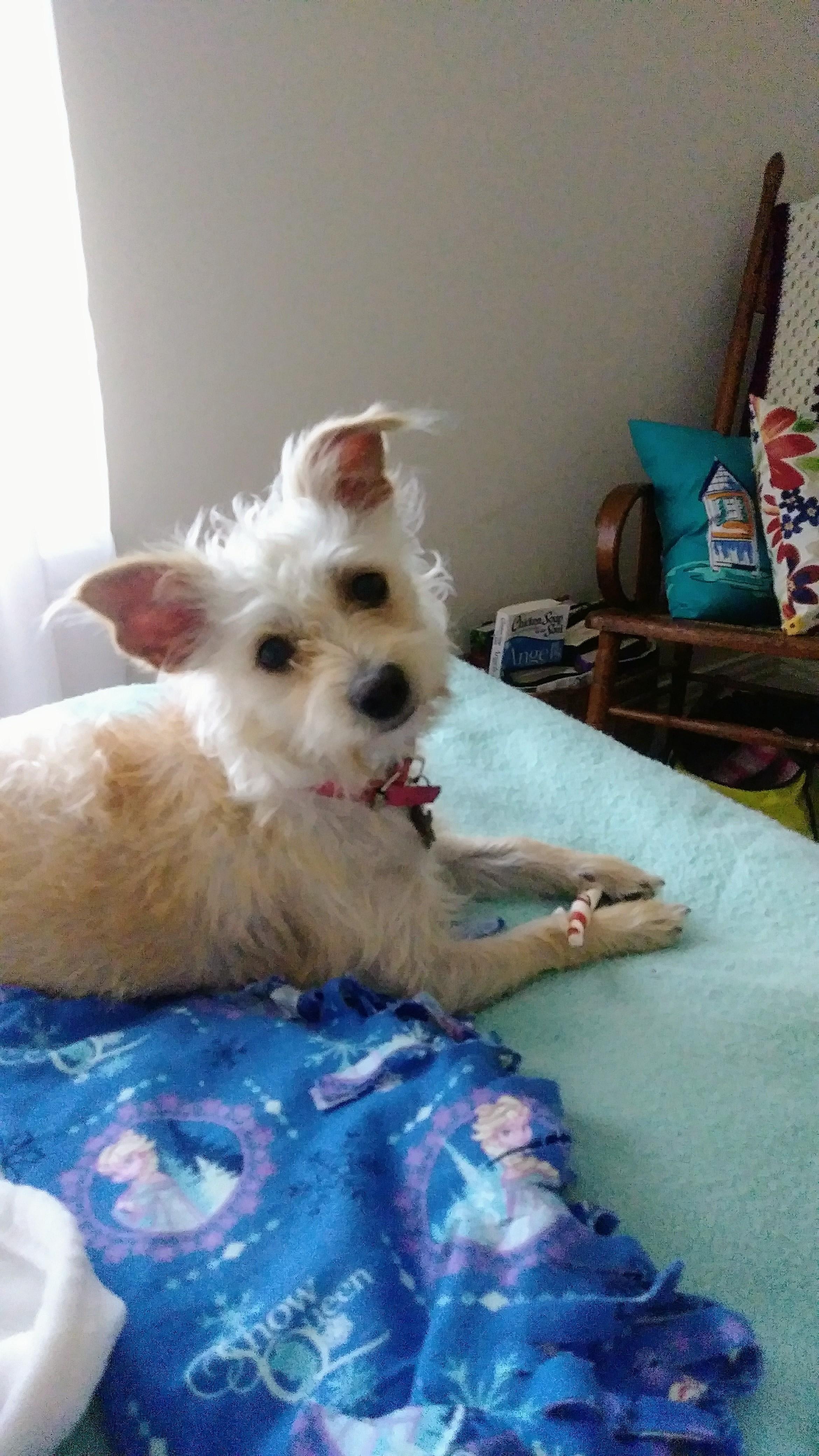 Question details sensitive content