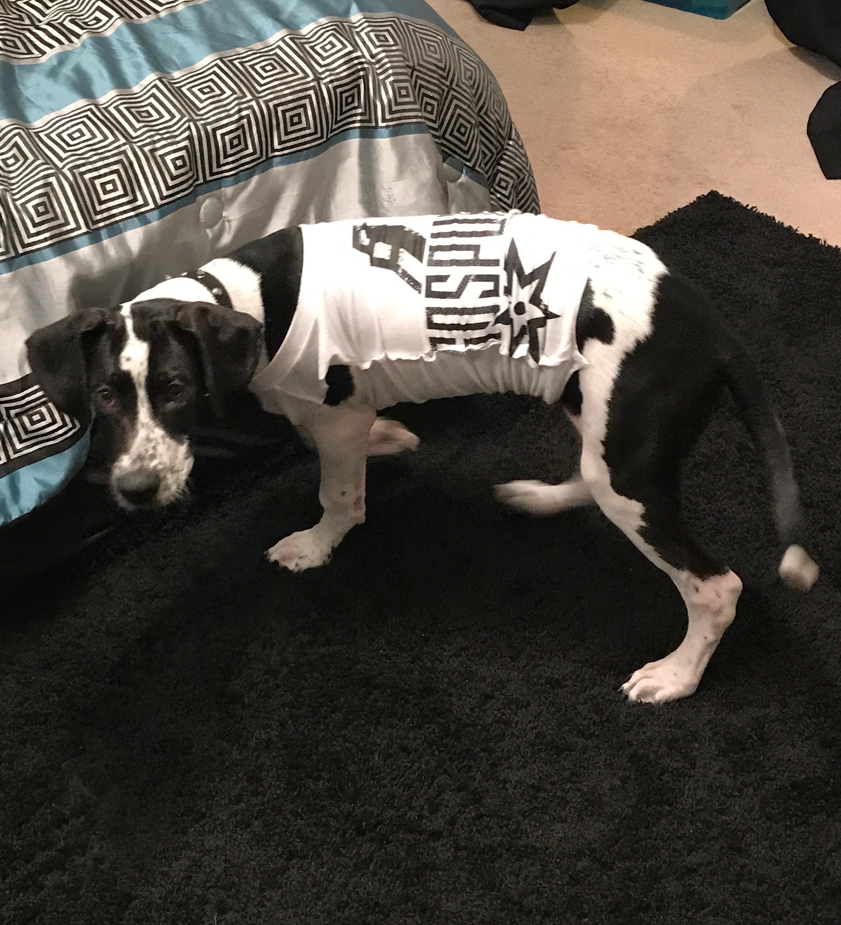 Question details sensitive content